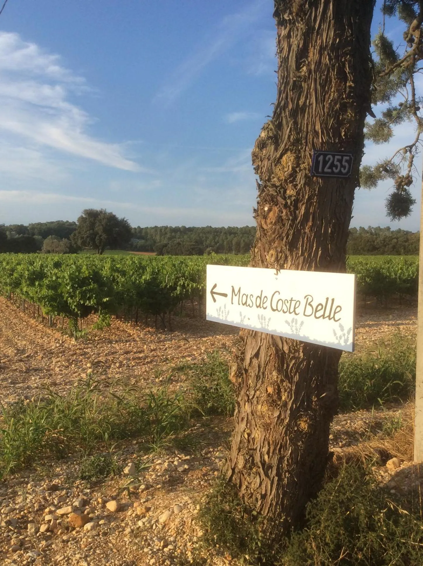 mas de costebelle