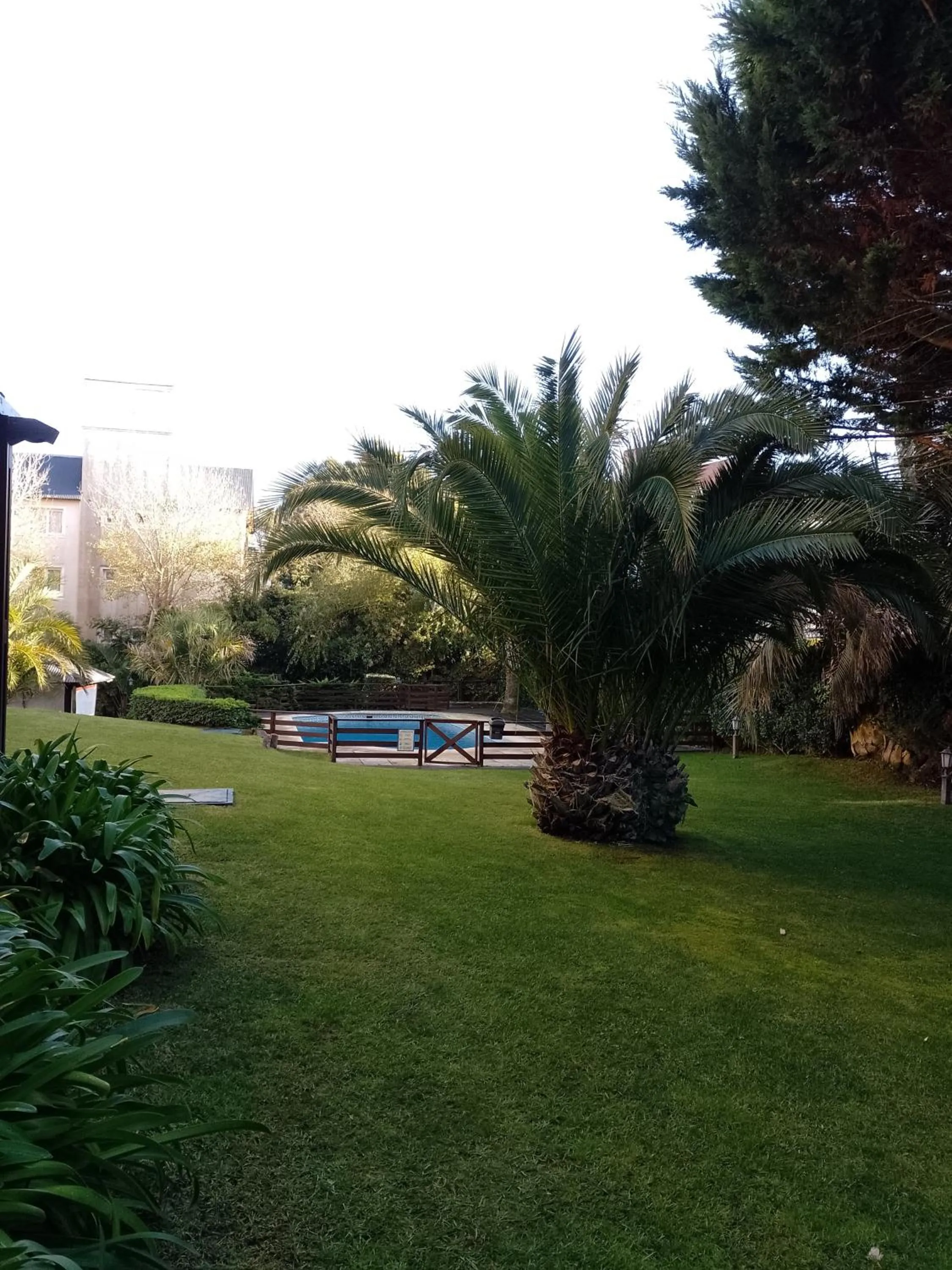 Garden in Carilo Quimey
