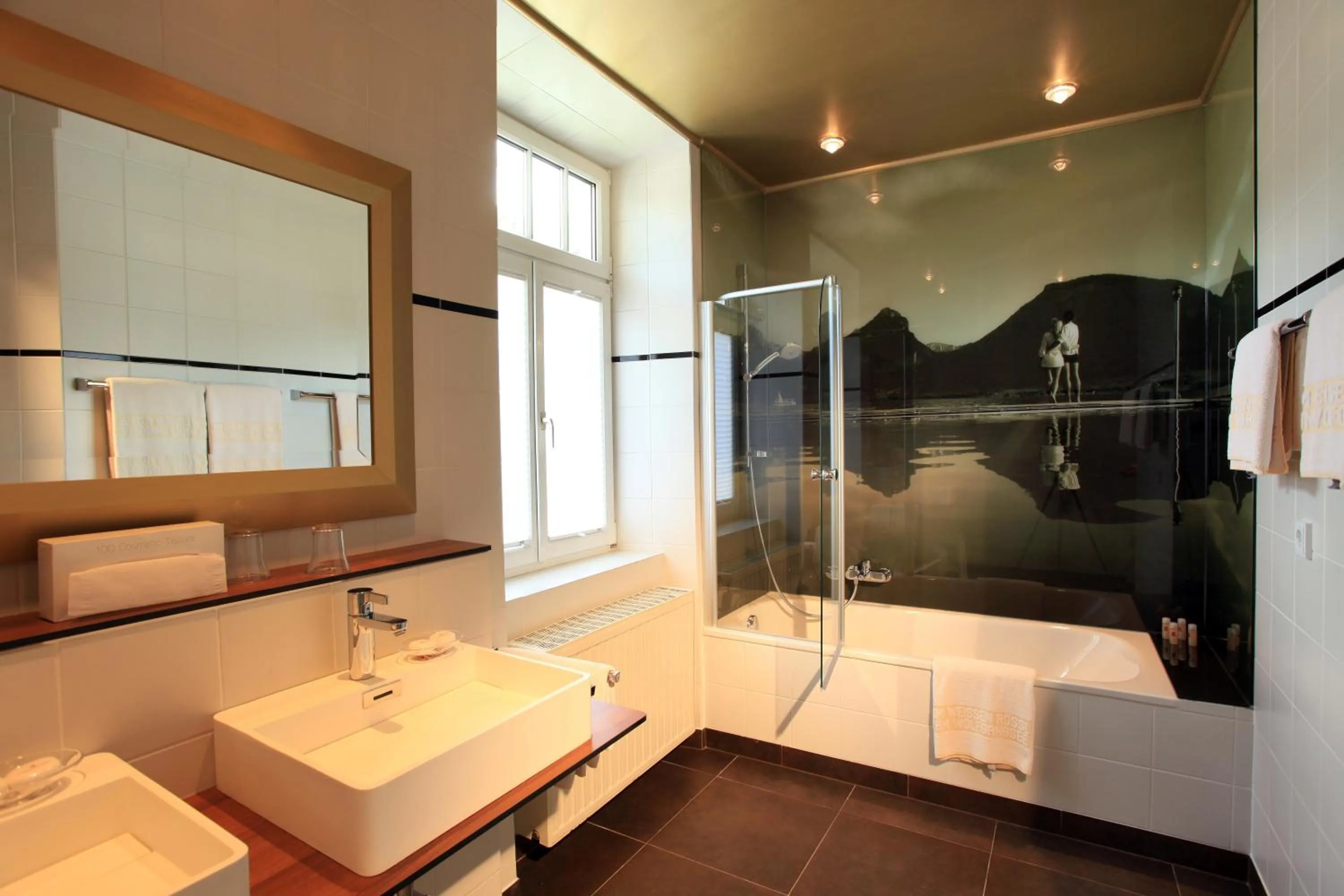 Shower in Romantik Residenz (Ferienwohnungen Hotel Im Weissen Rössl) - Dependance