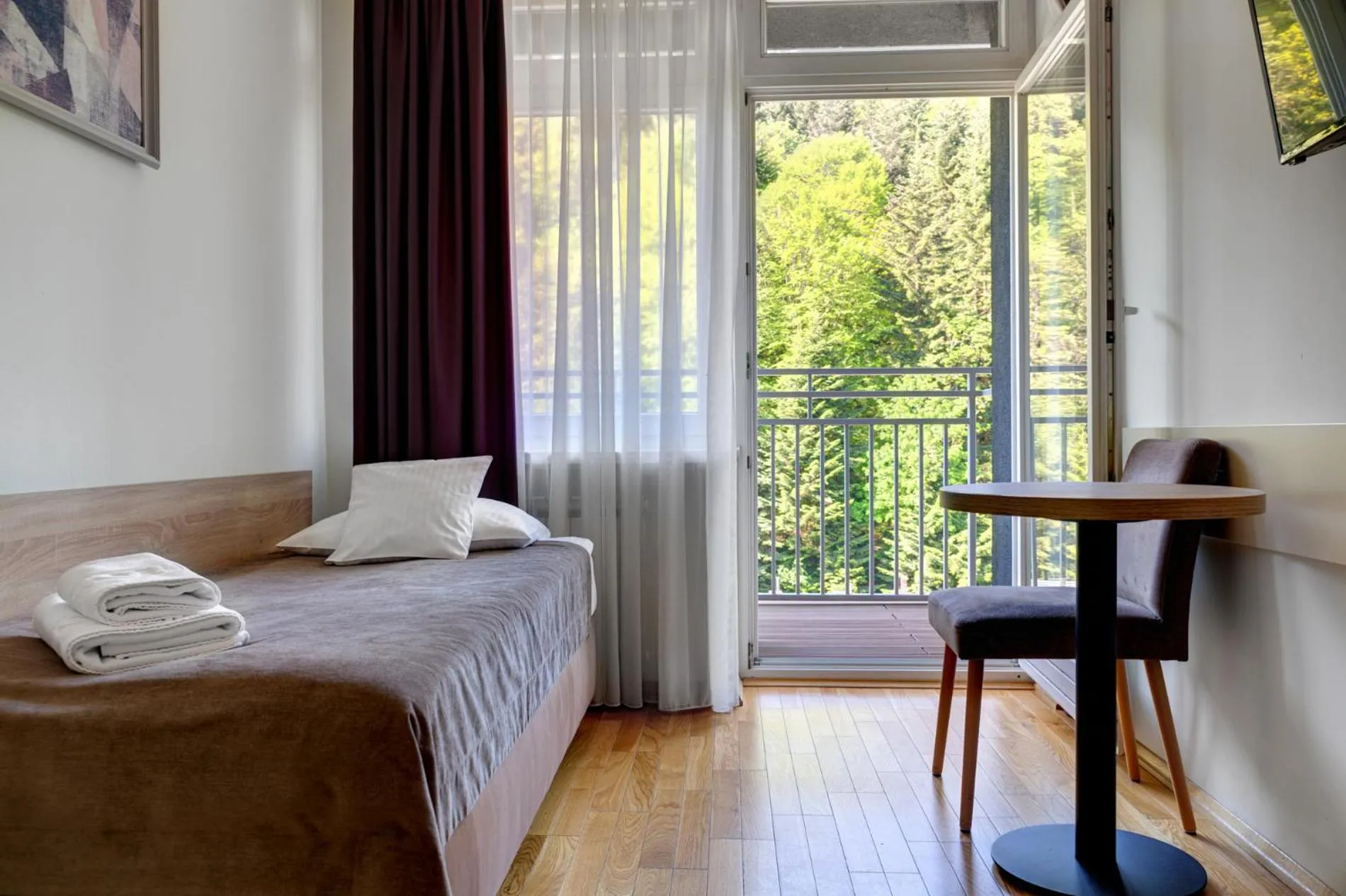 Single Room in Silesia Krynica