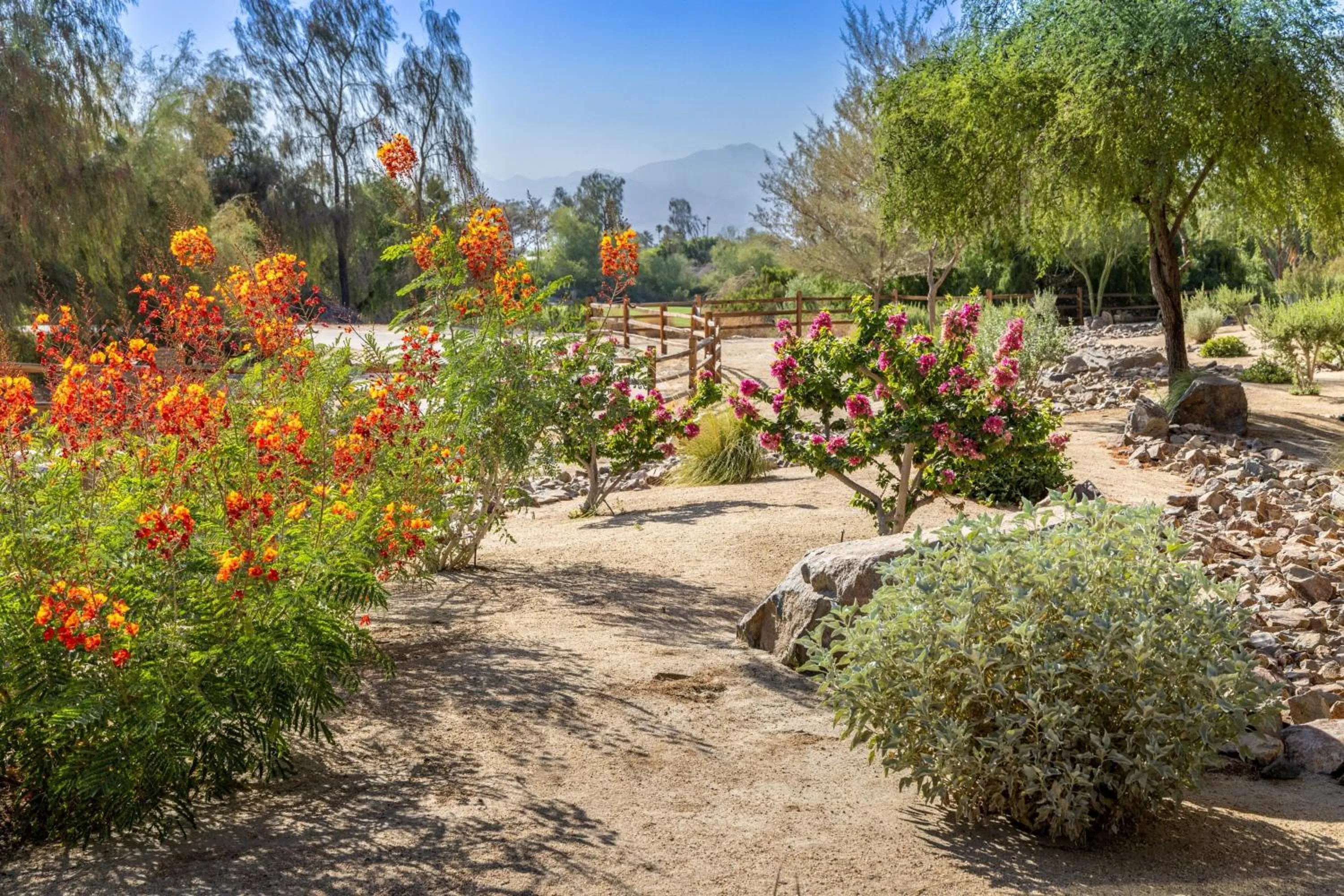 View (from property/room) in The Westin Desert Willow Villas, Palm Desert