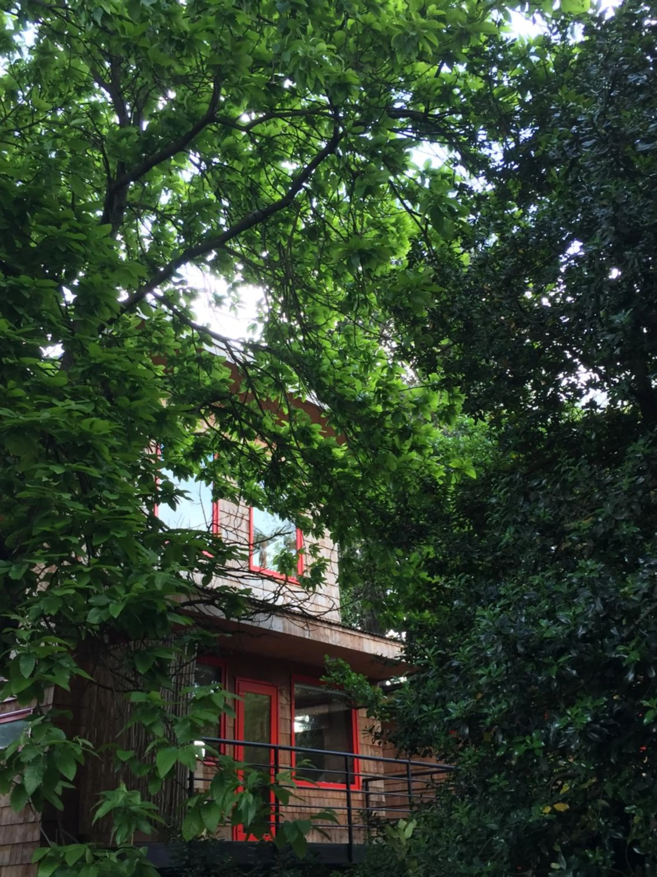 Almabosque Cabañas