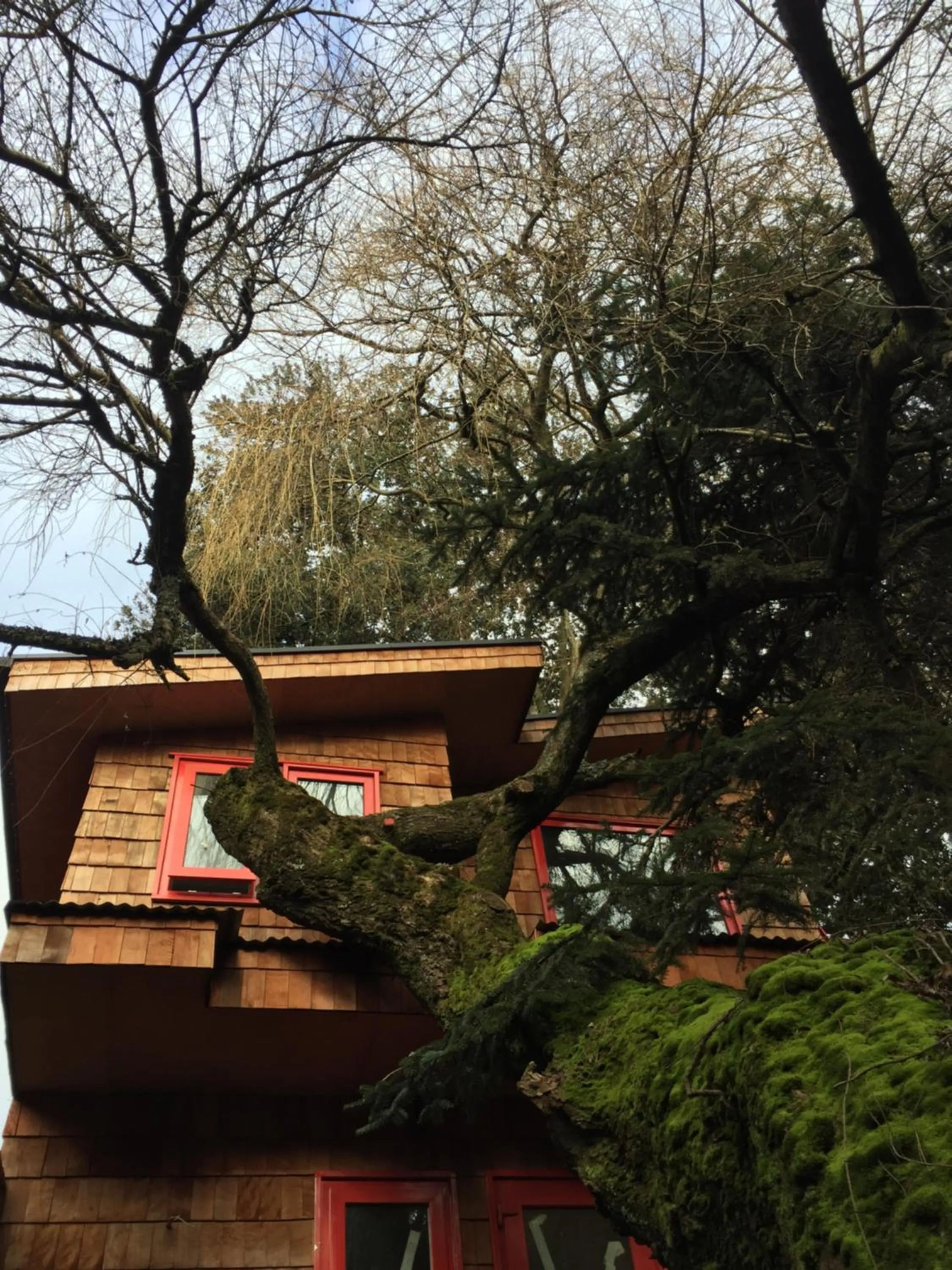Property building in Almabosque Cabañas