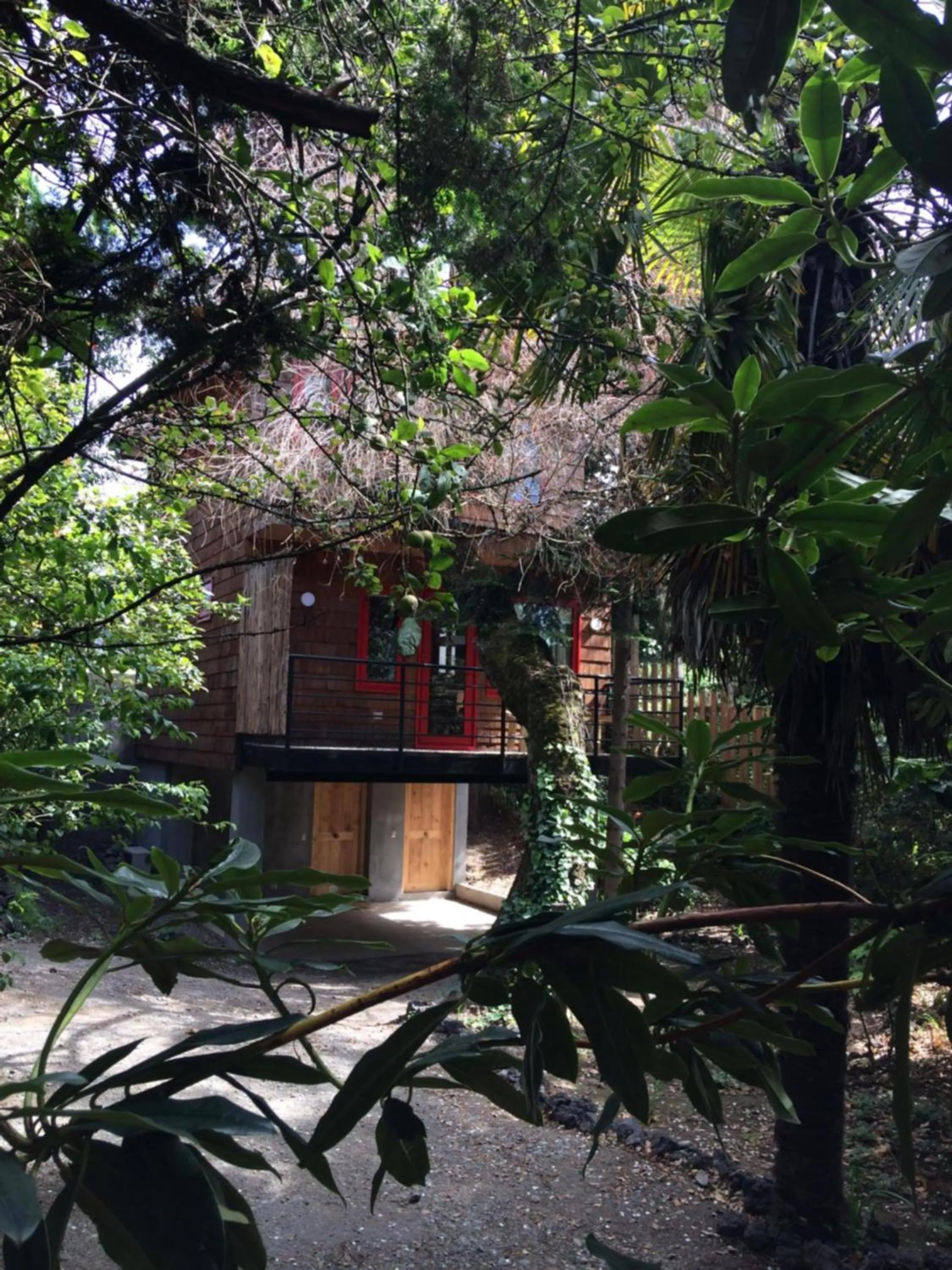 Almabosque Cabañas