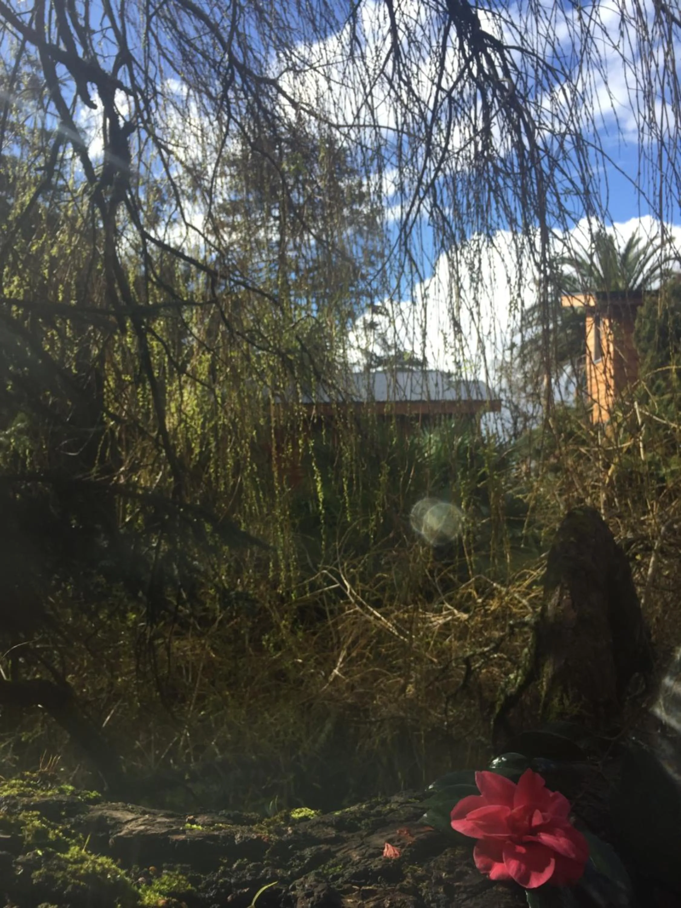 Garden view in Almabosque Cabañas
