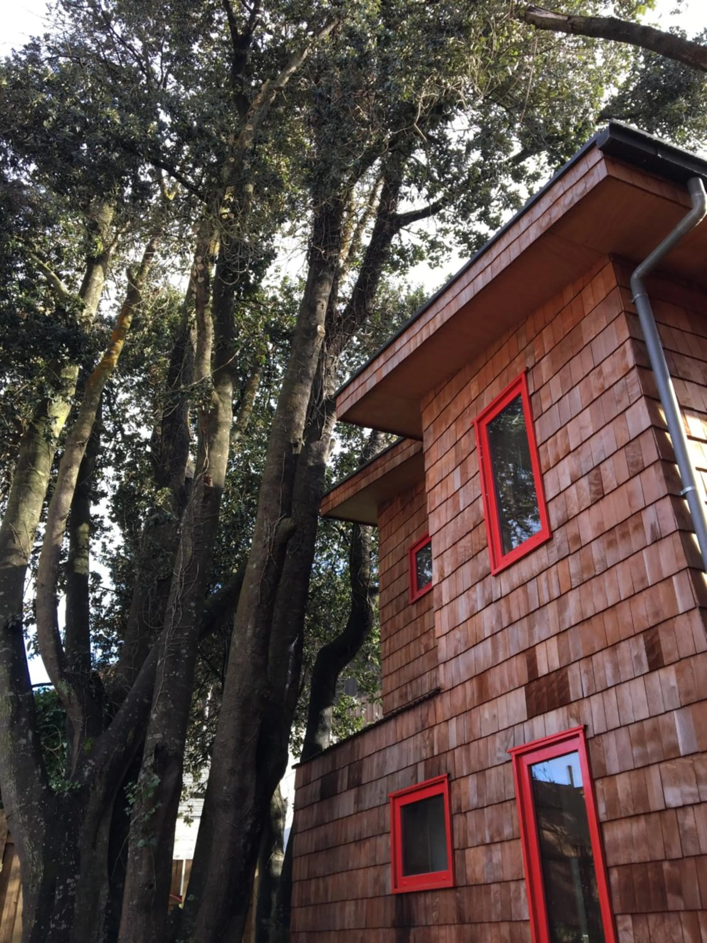 Property building in Almabosque Cabañas