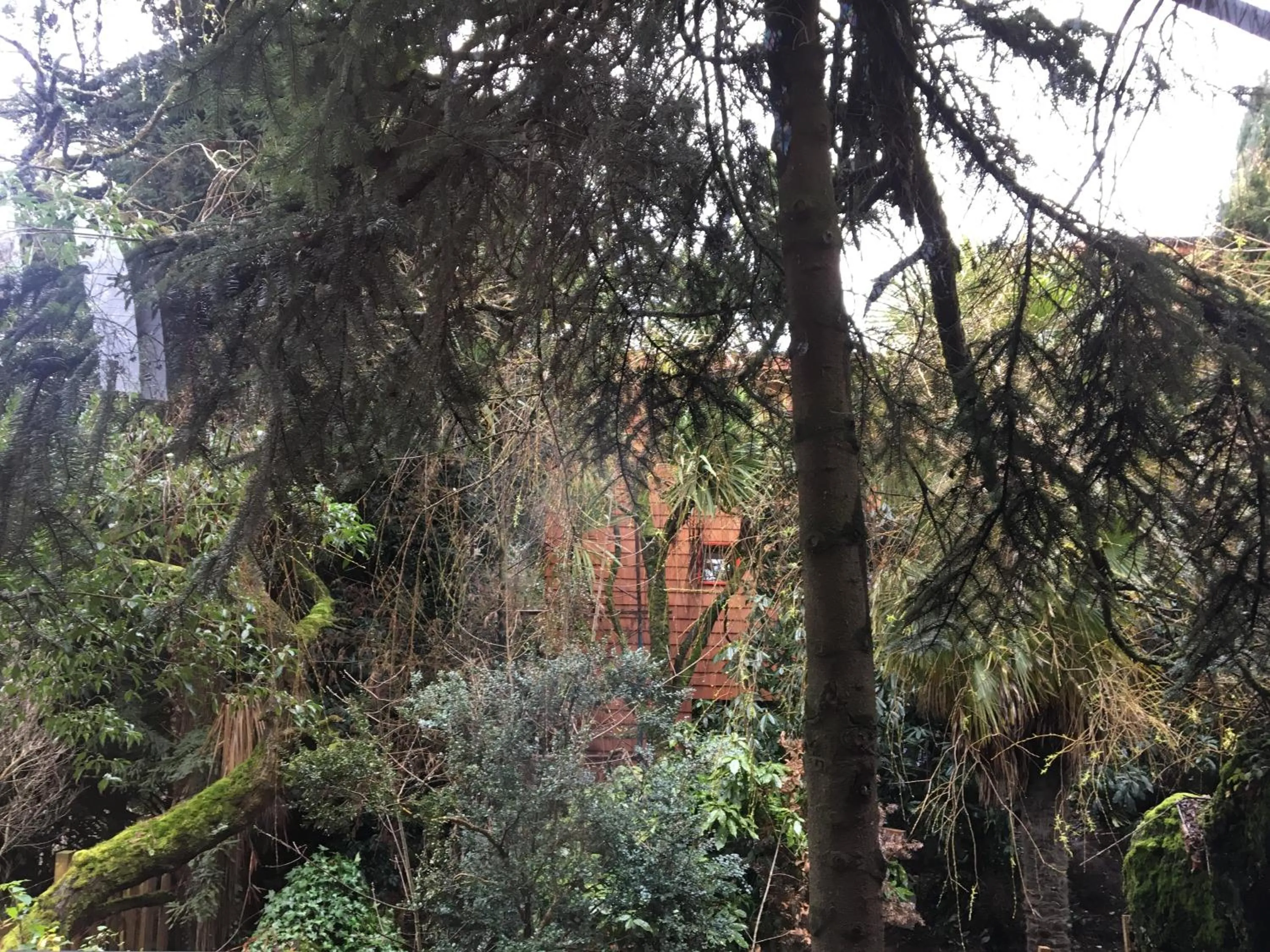 Garden view in Almabosque Cabañas