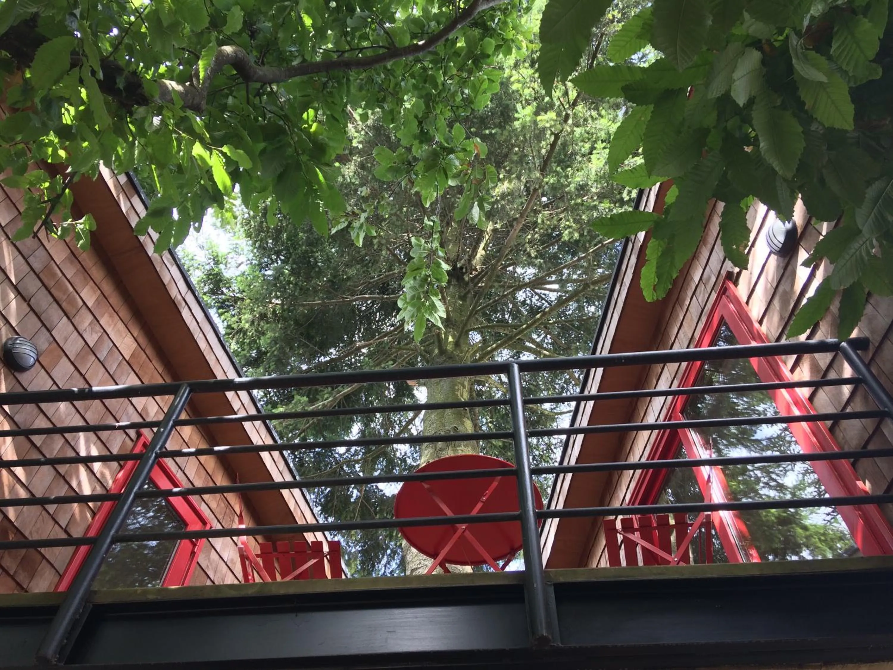 Balcony/Terrace in Almabosque Cabañas