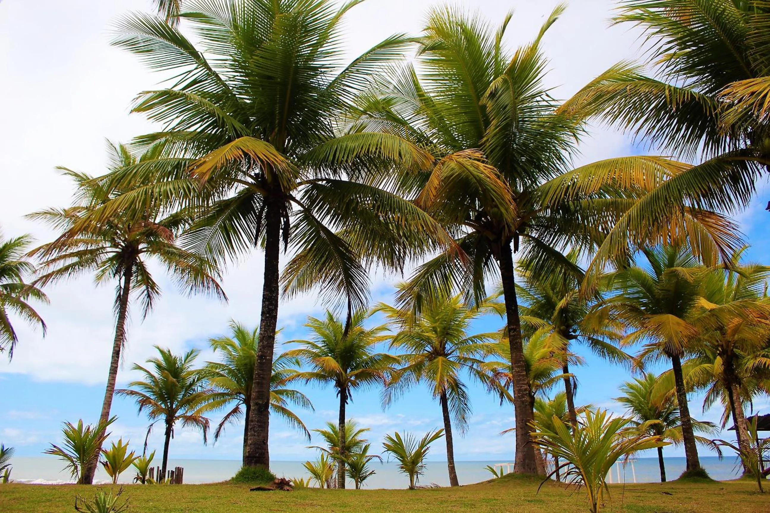 Natural landscape in Hotel Vale Verde Coroa Vermelha