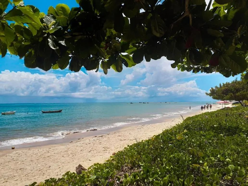 Beach in Hotel Vale Verde Coroa Vermelha