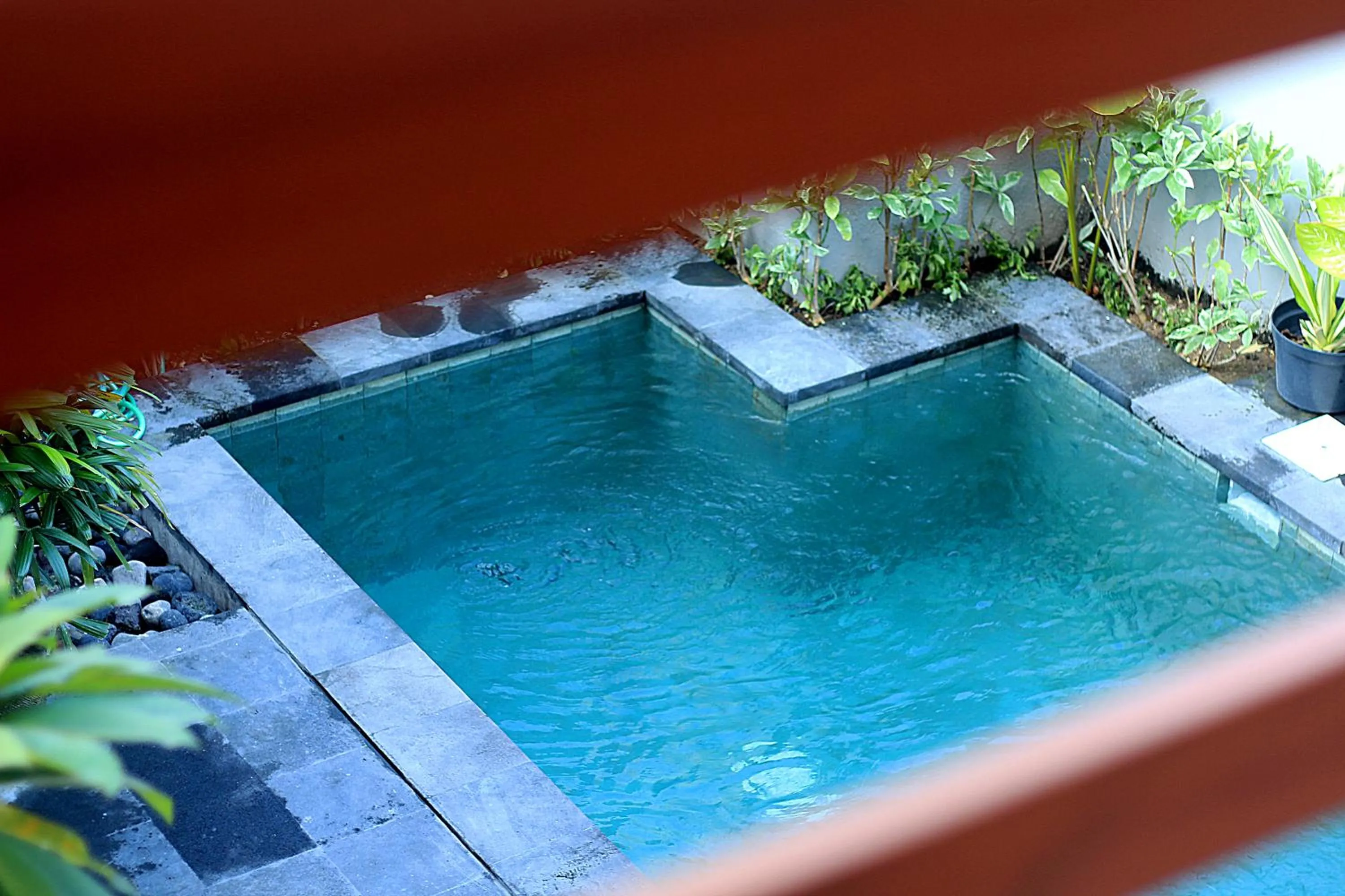 Swimming pool in Sweet Corner Guest House