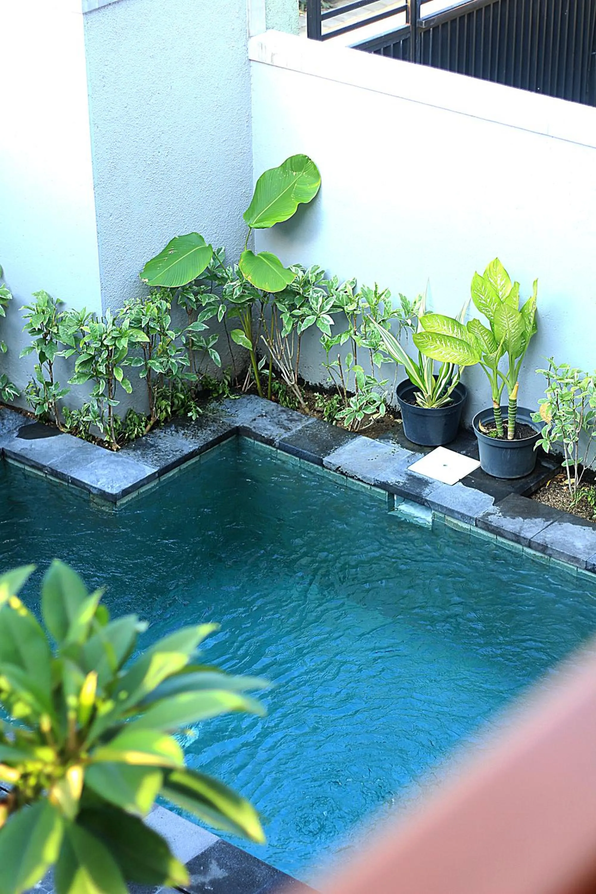 Swimming pool in Sweet Corner Guest House