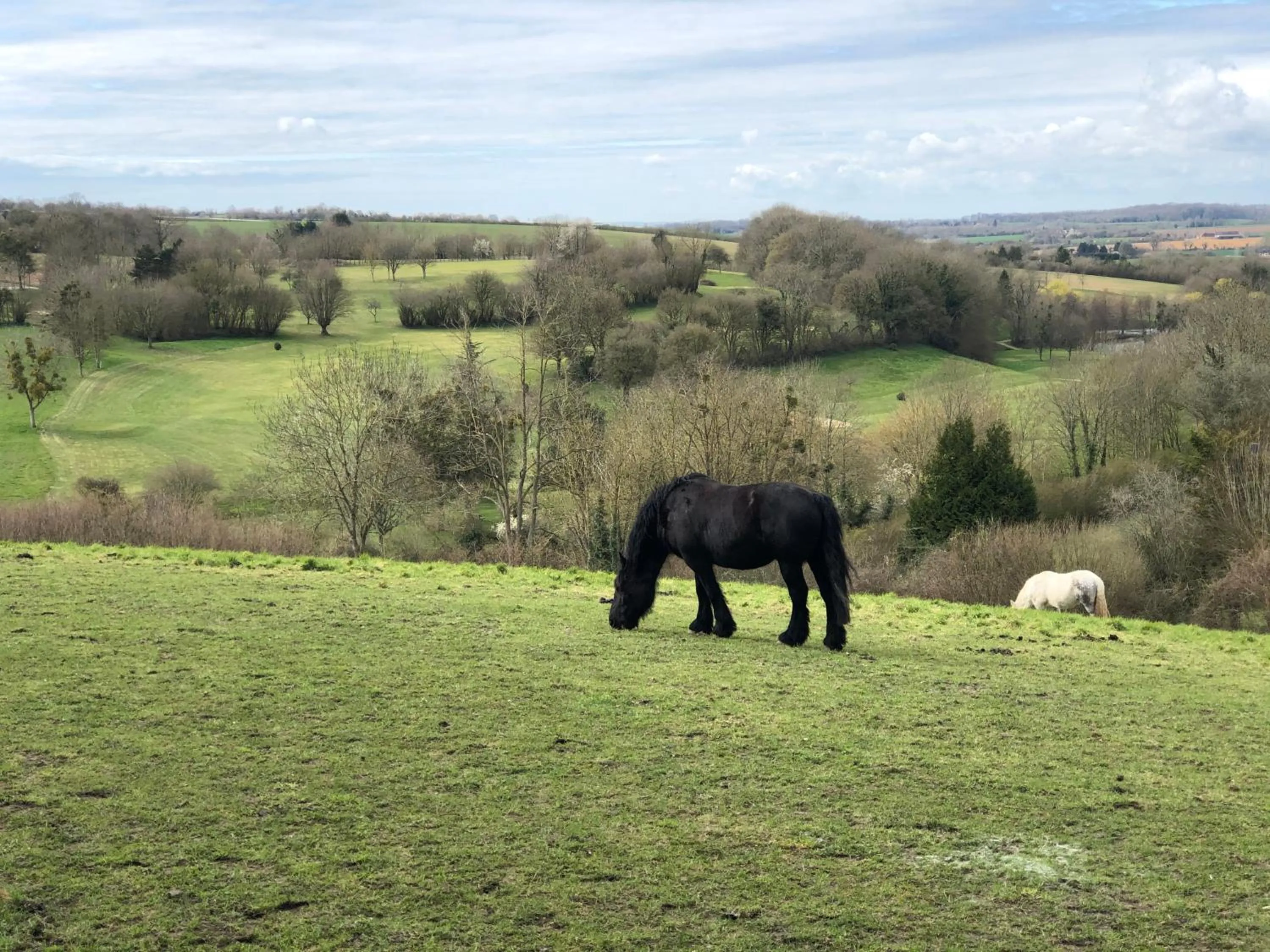 Chambres d'hôtes Saint Jean