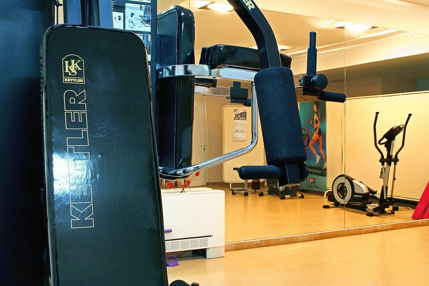 Fitness centre/facilities in Geneva Hotel