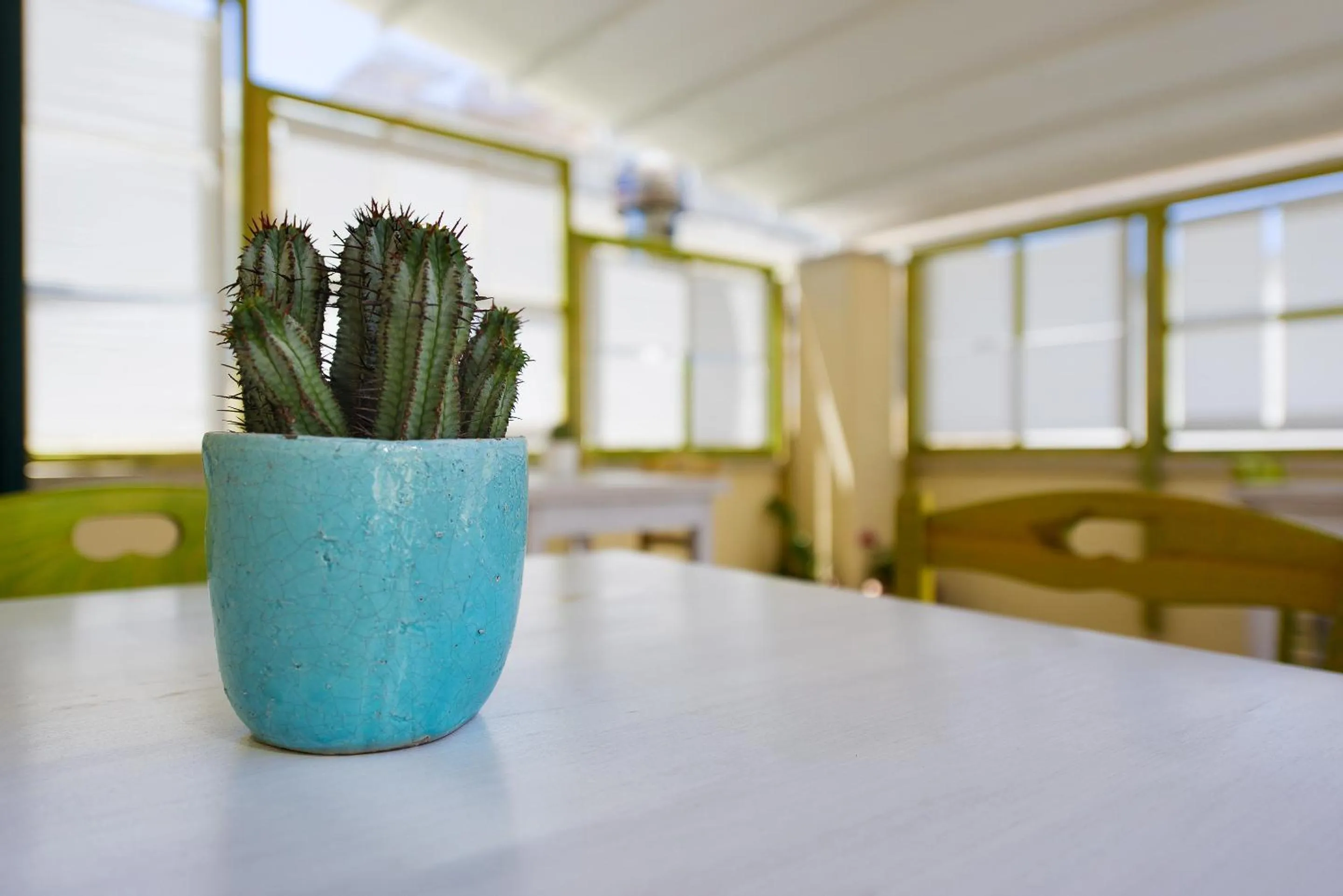 Balcony/Terrace in Notos b&b