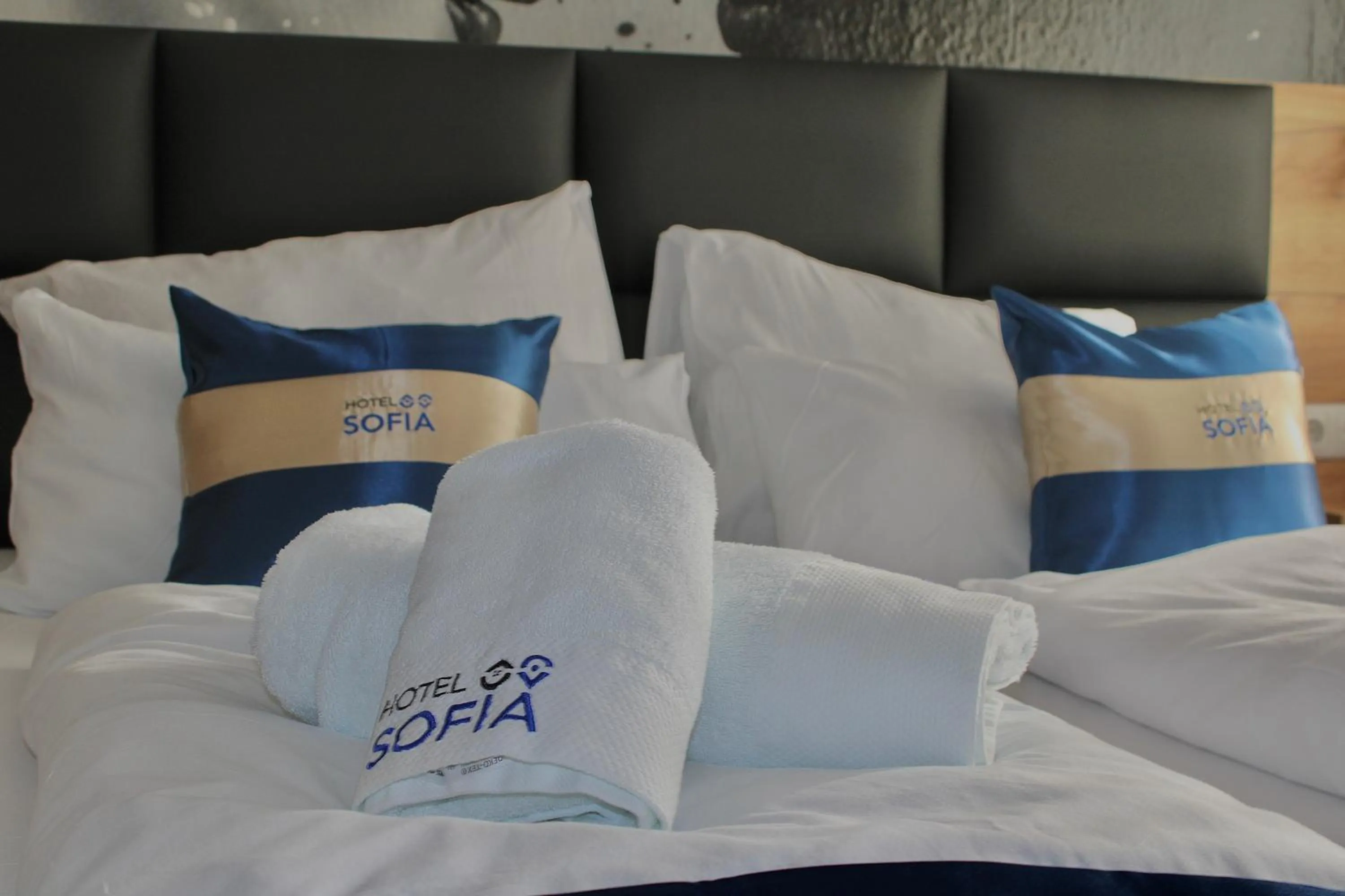 Bed in Hotel Sofia