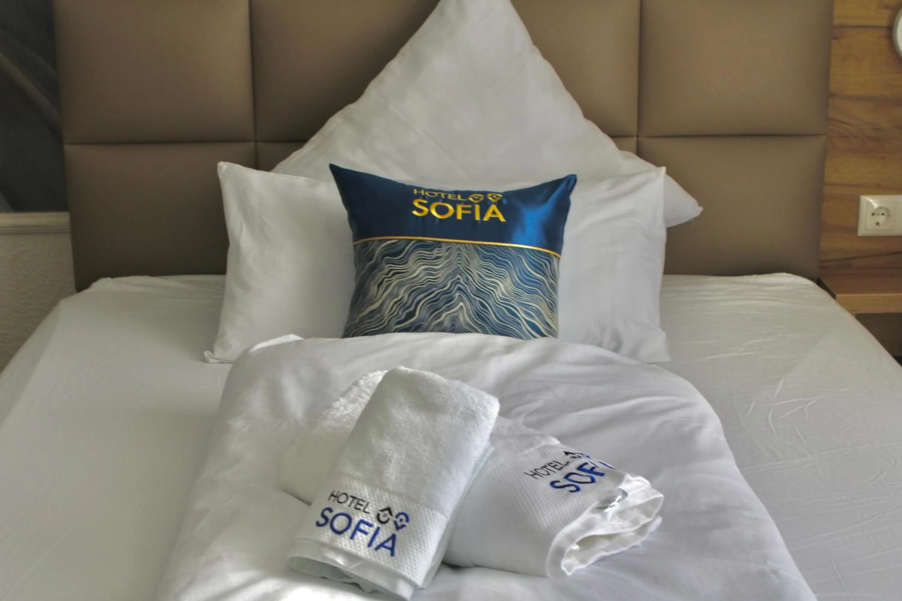 Bed in Hotel Sofia