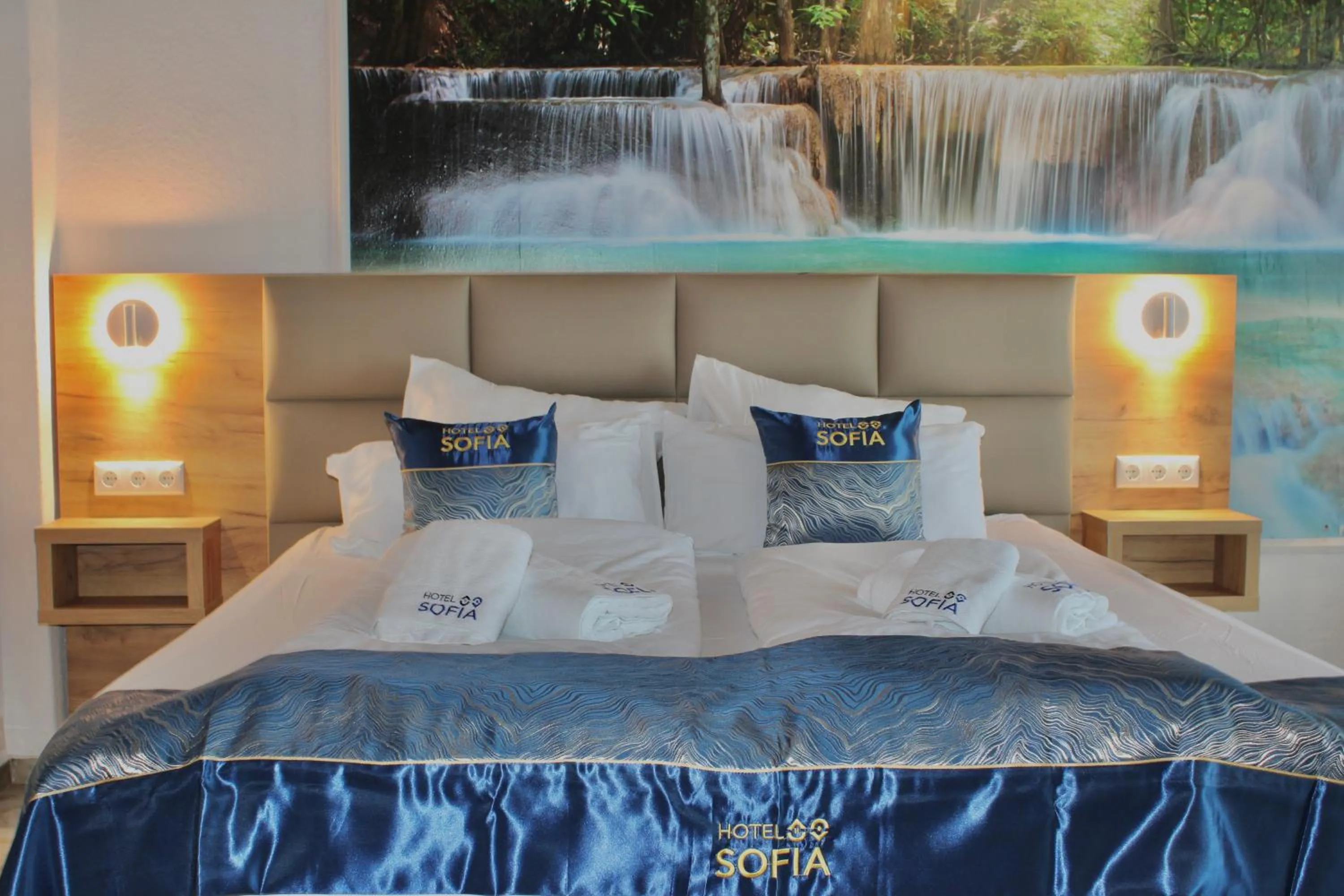 Photo of the whole room, Bed in Hotel Sofia