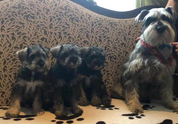 Hotel Boutique Villa de Sant