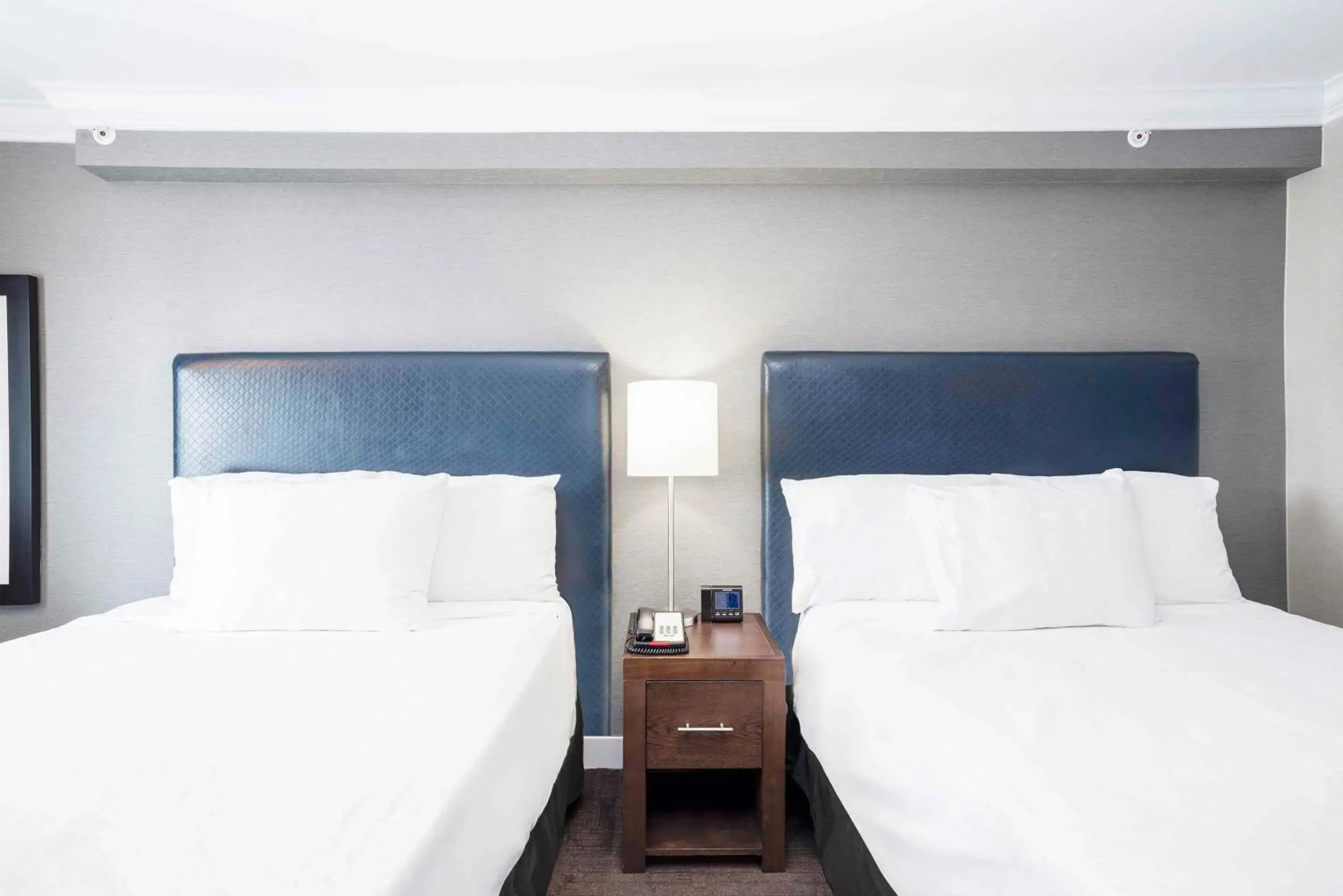 Photo of the whole room, Bed in Sandman Signature Prince George Hotel Photo of the whole room, Bed in Sandman Signature Prince George Hotel