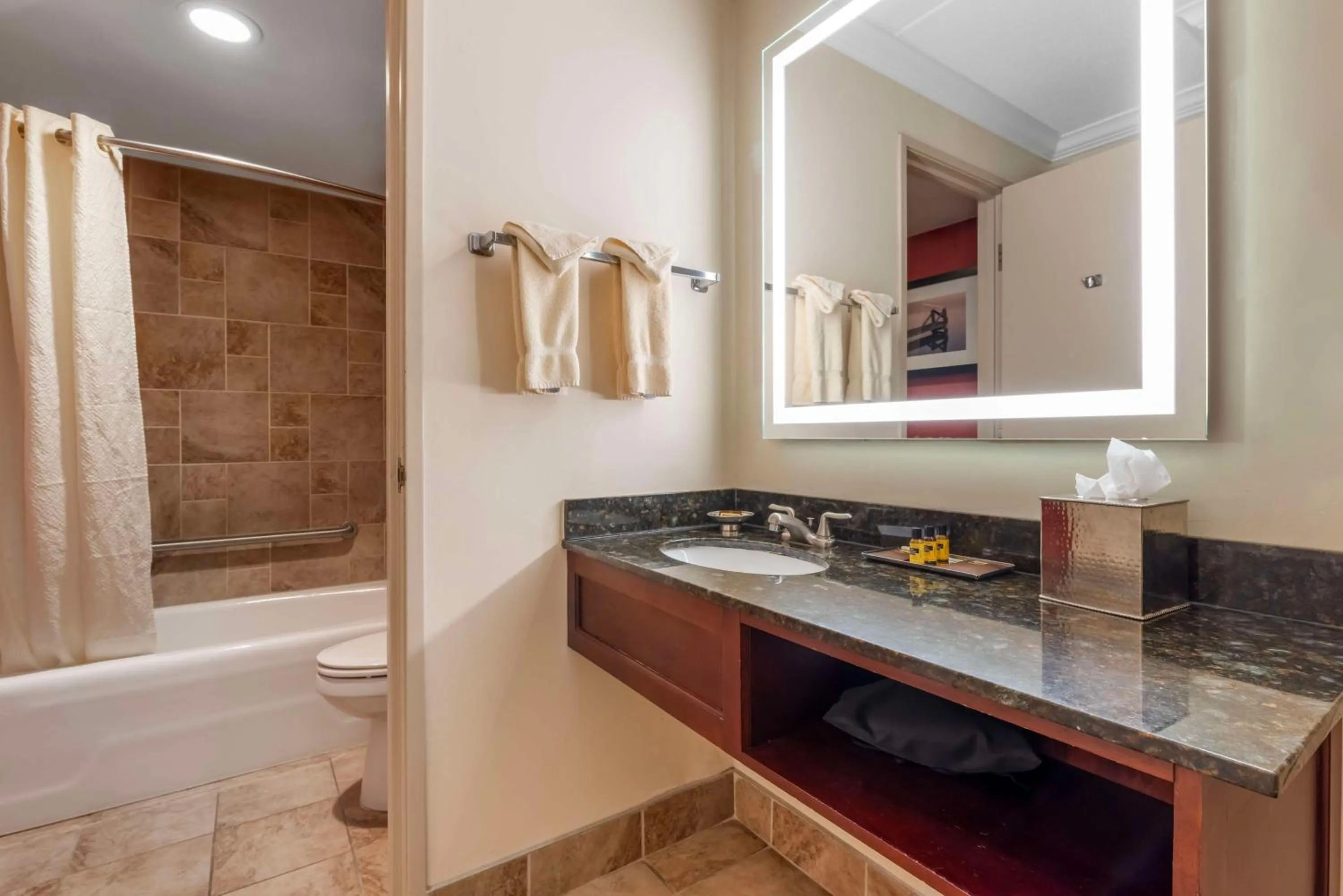 Bathroom in Best Western Plus White Bear Country Inn