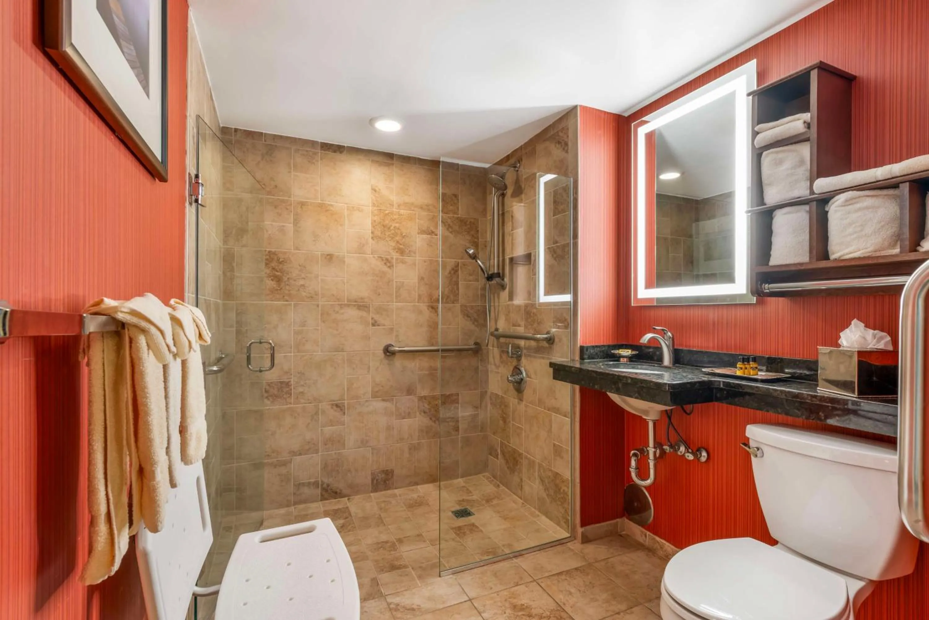 Bathroom in Best Western Plus White Bear Country Inn