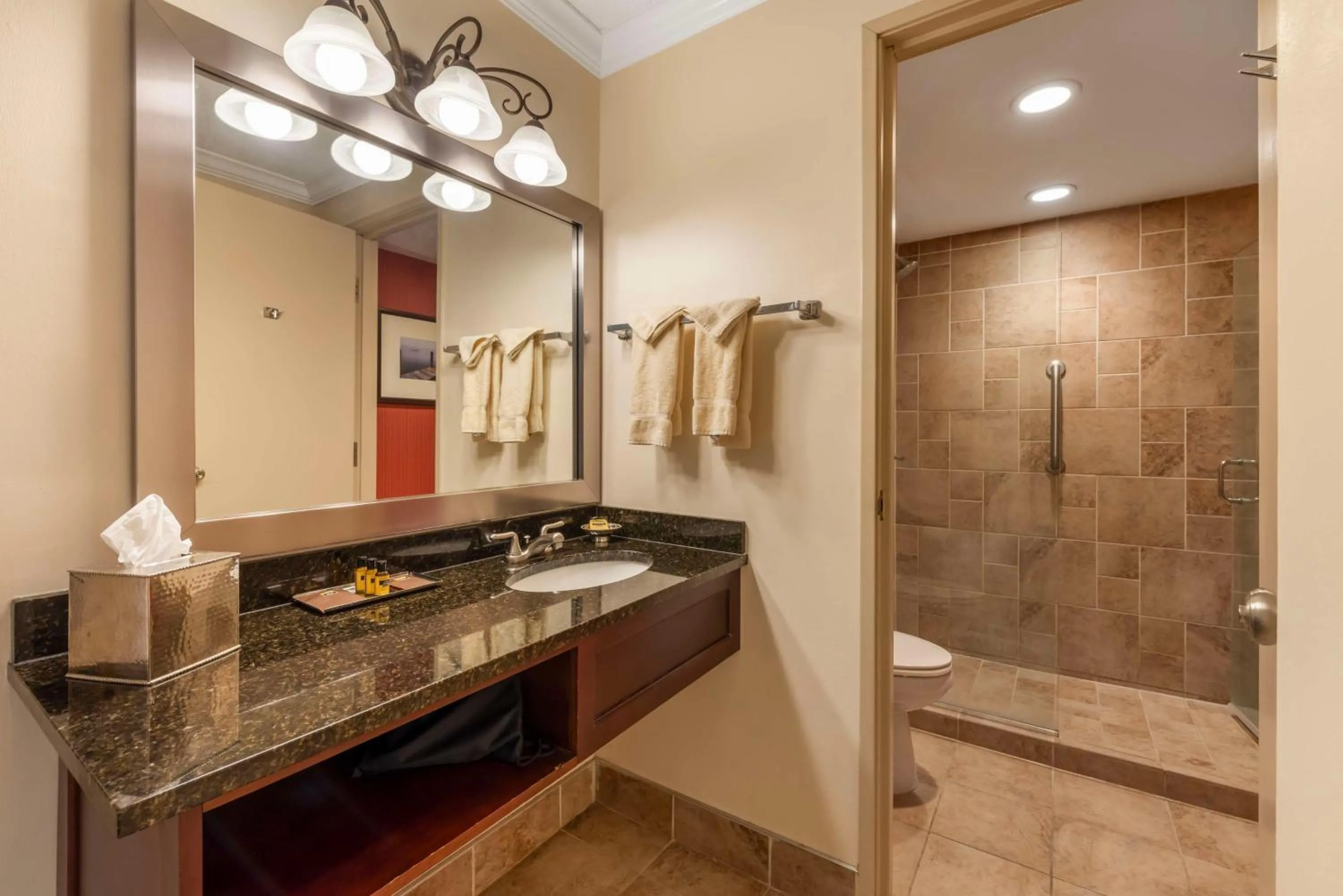 Bathroom in Best Western Plus White Bear Country Inn