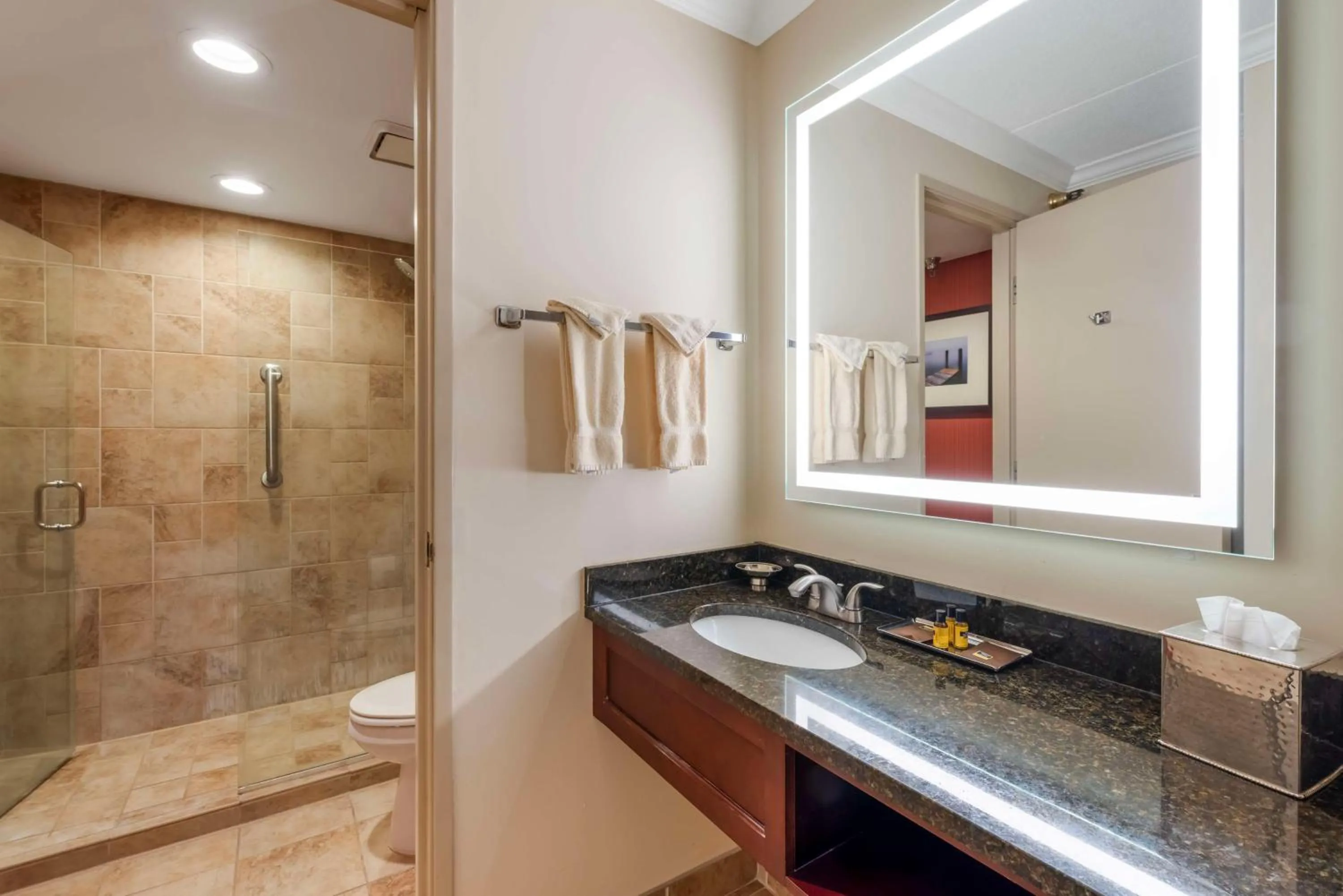 Bathroom in Best Western Plus White Bear Country Inn