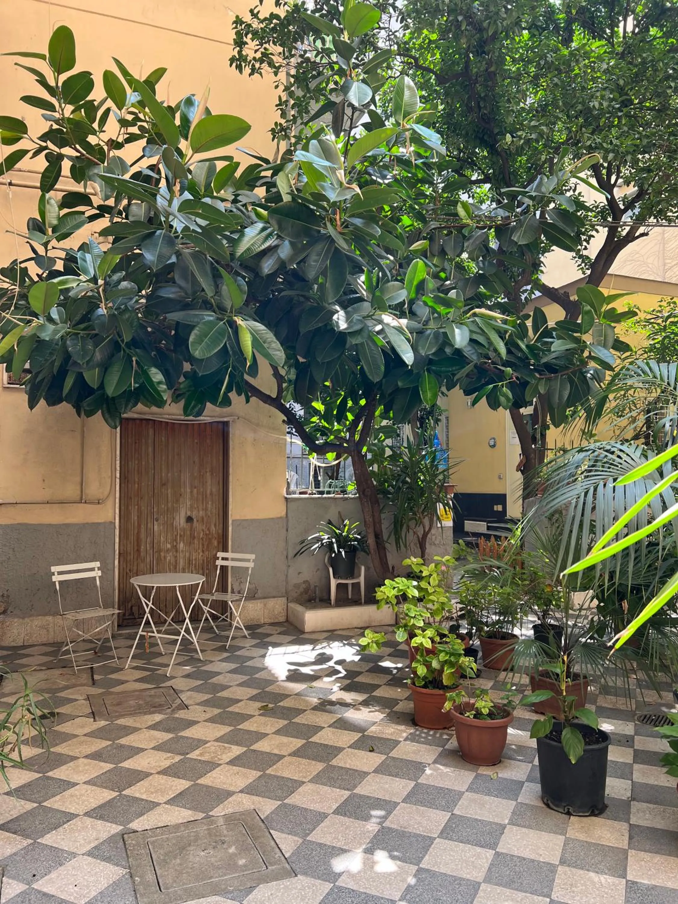 Garden in Wanda Bed&Breakfast