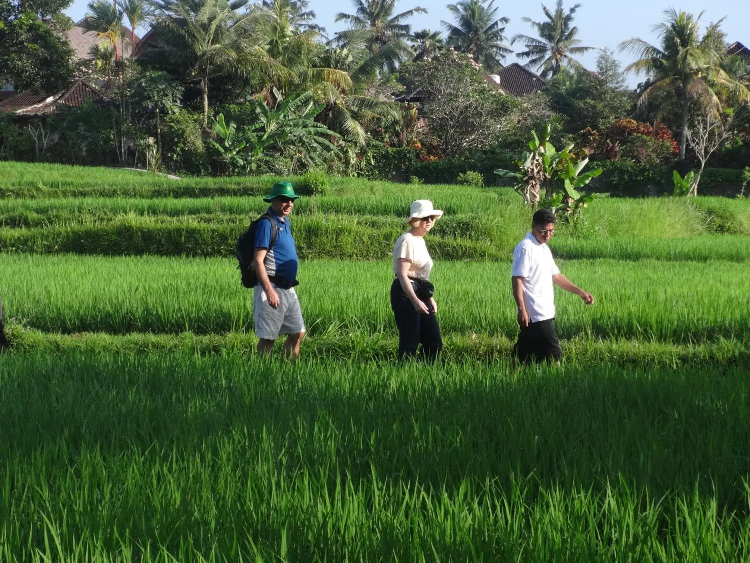 Bird's eye view in The Sungu Resort & Spa Bird's eye view in The Sungu Resort & Spa