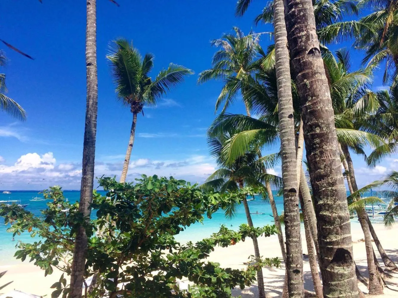 Beach in Grand Blue Beach Hotel