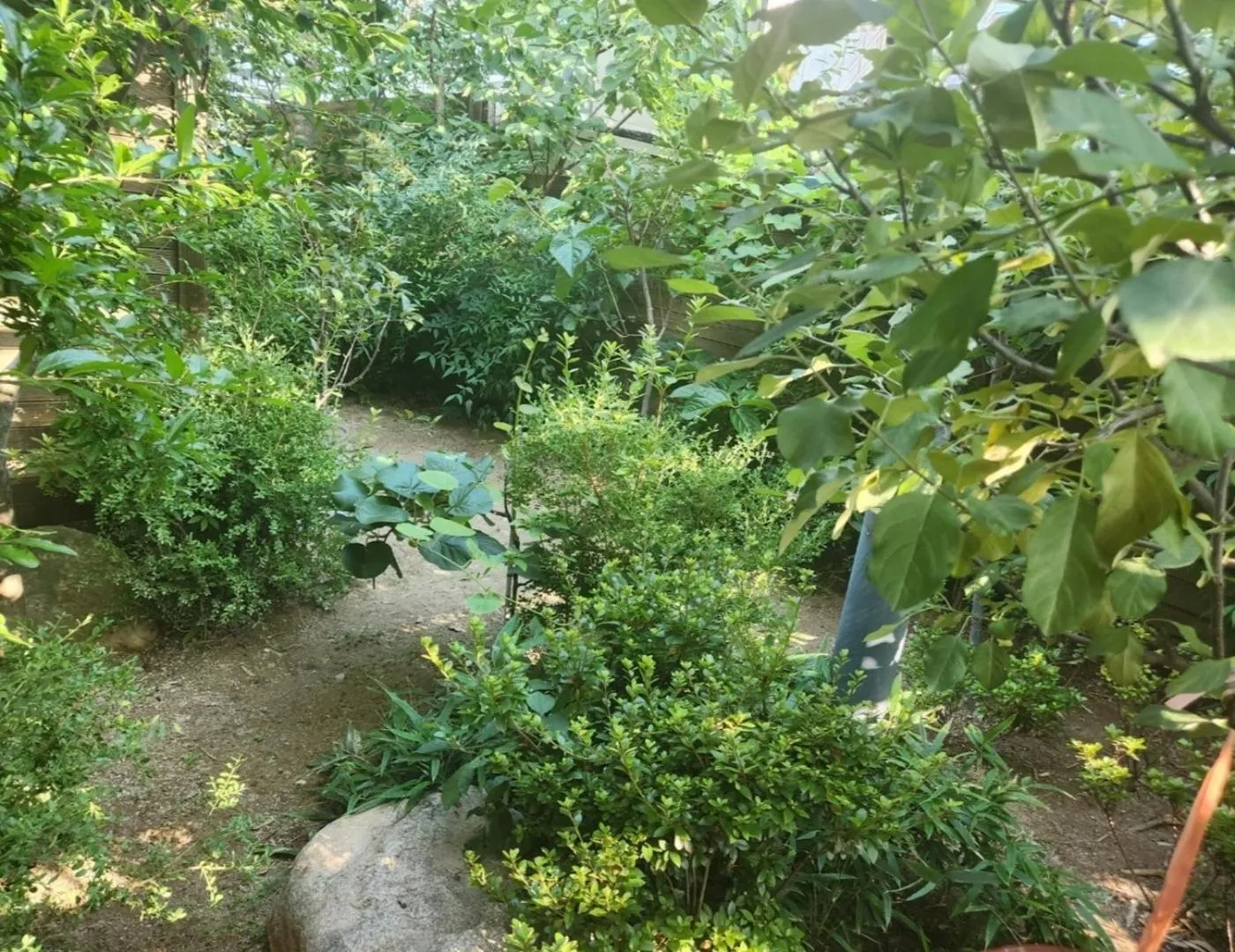 Renaissance Hotel Pohang