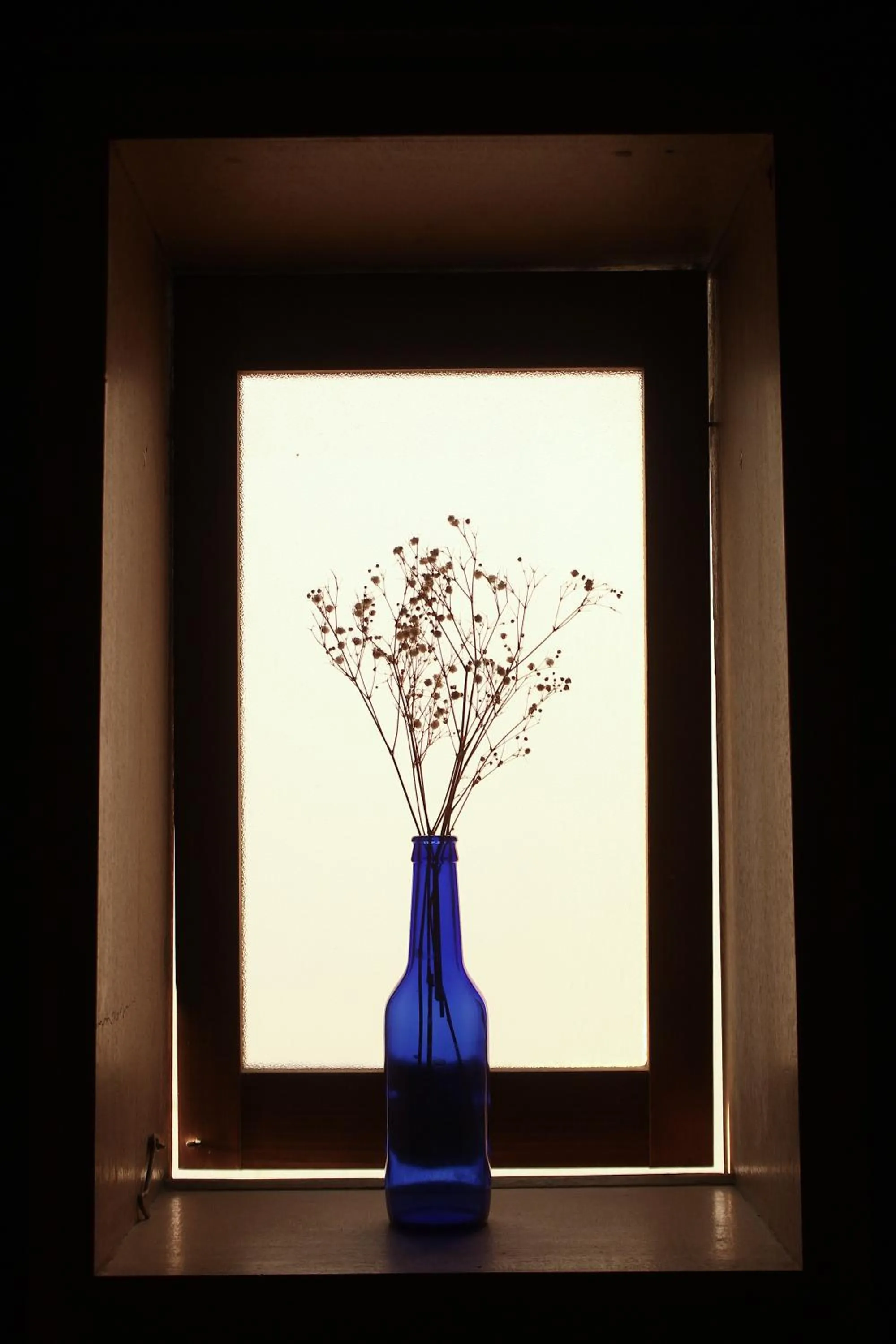 Area and facilities in Hostel & Tatami Bar Uchikobare -内子晴れ-