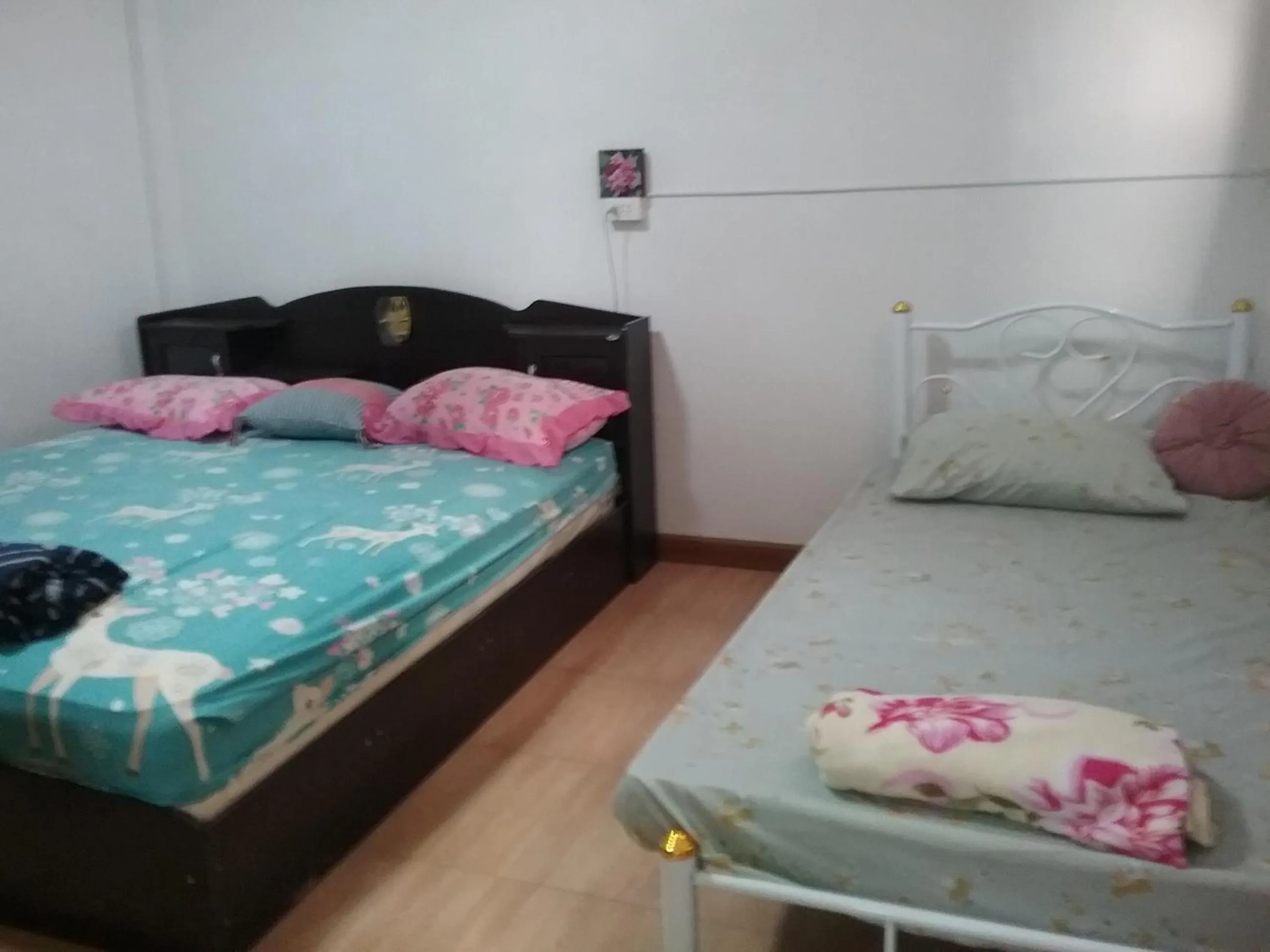 Bed in Danee Hostel