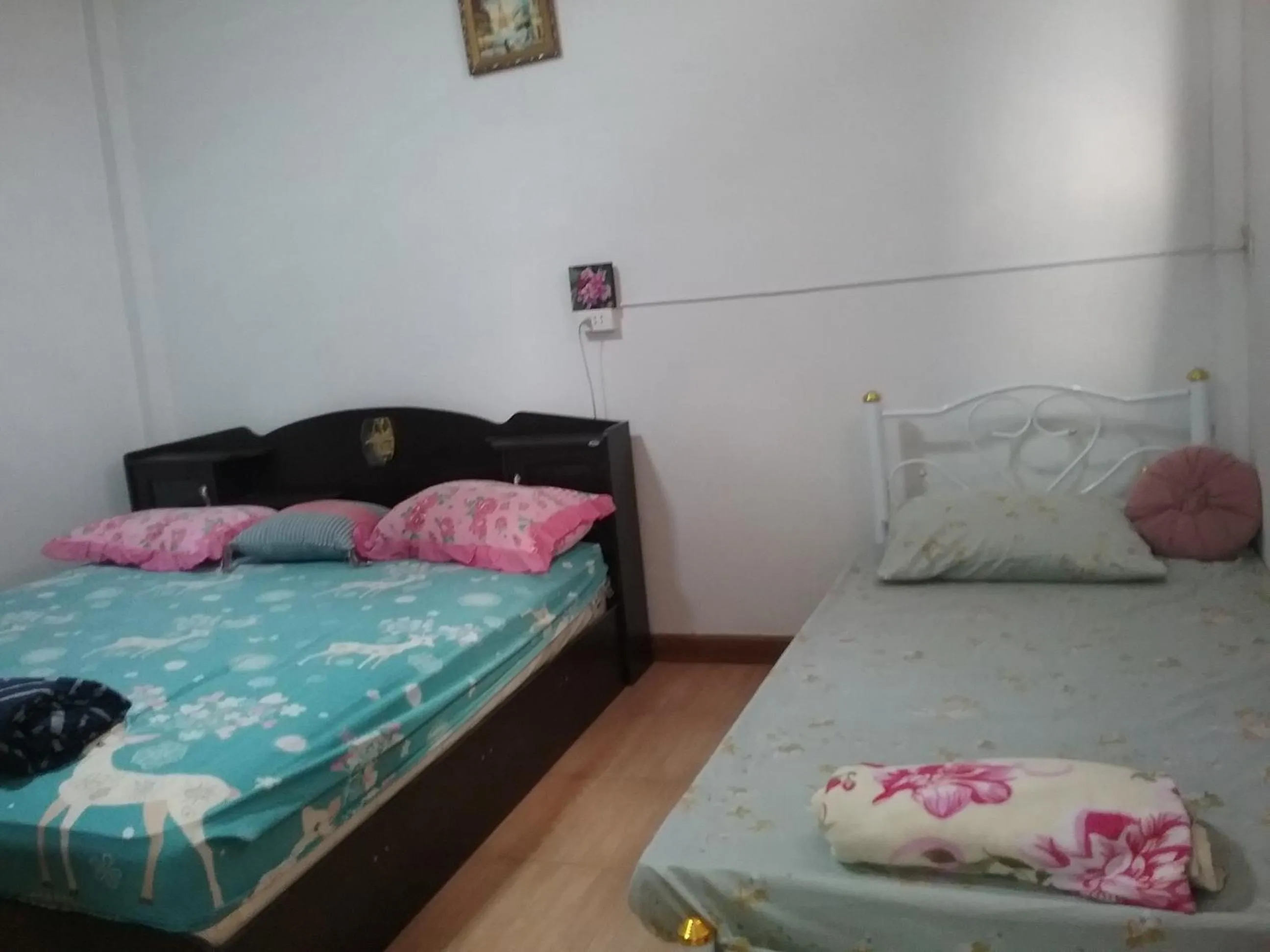 Bed in Danee Hostel