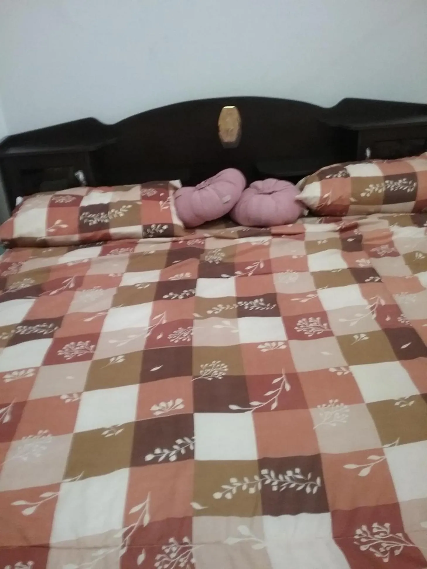 Bed in Danee Hostel