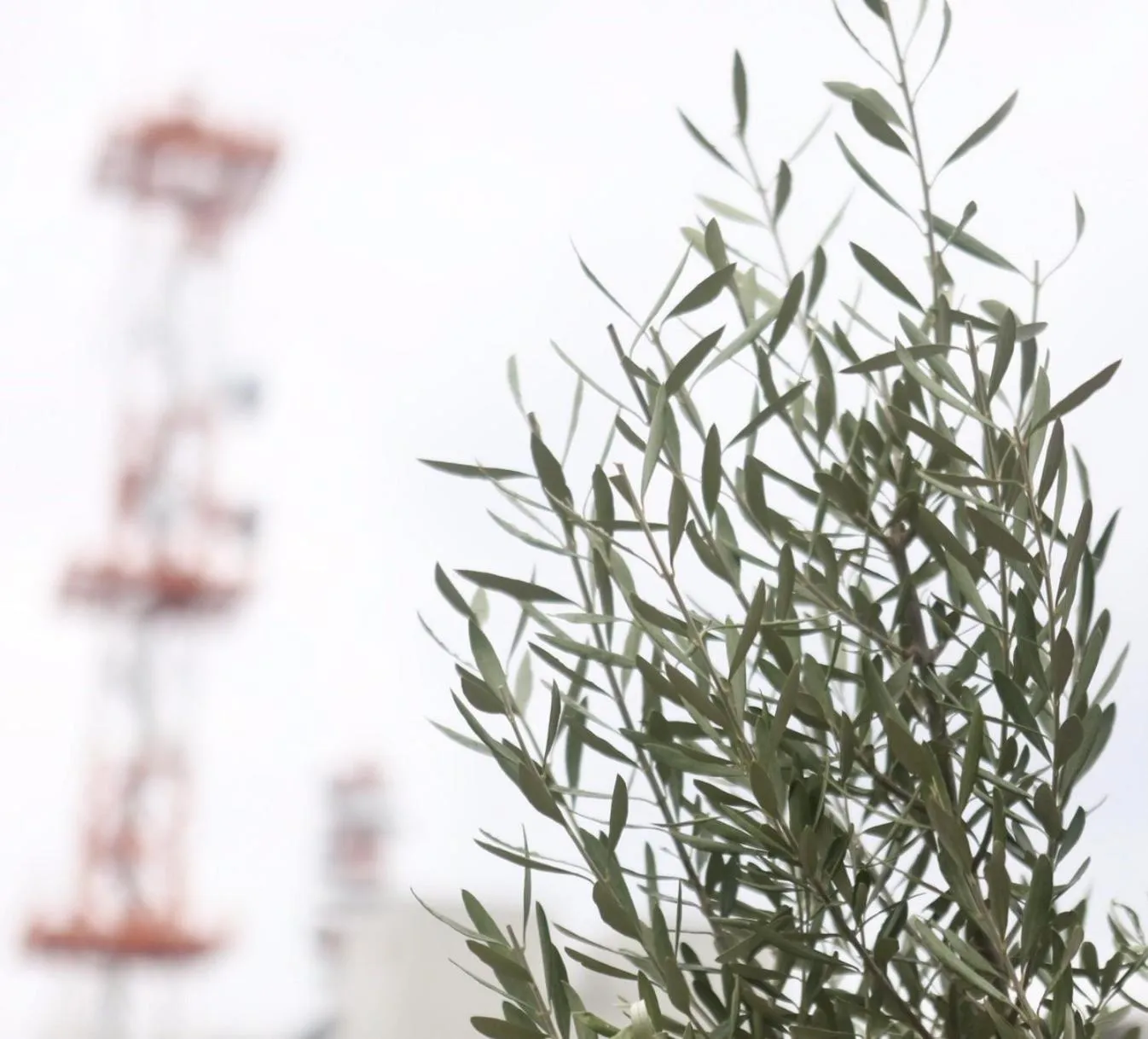 Decorative detail in Sunny Day Hostel
