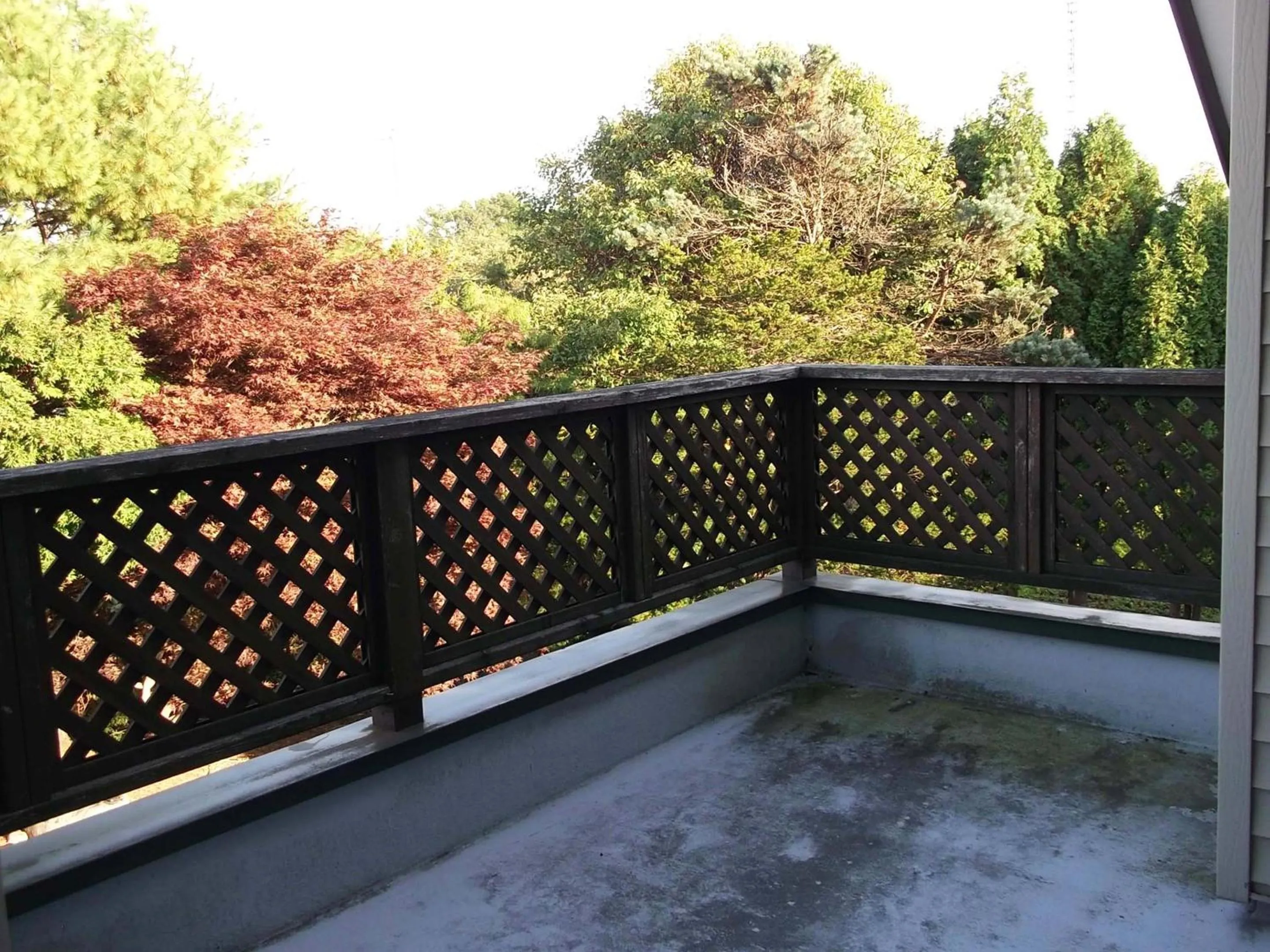 Balcony/Terrace in Pension Yu