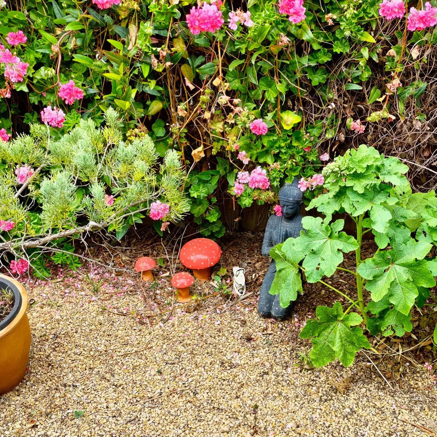 Spring in Gumnut Getaway BnB