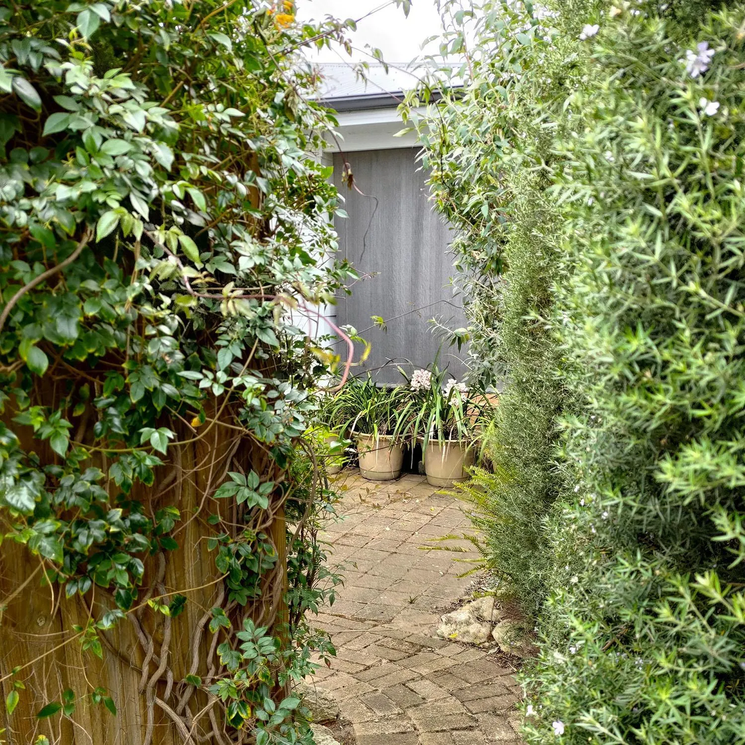 Natural landscape in Gumnut Getaway BnB