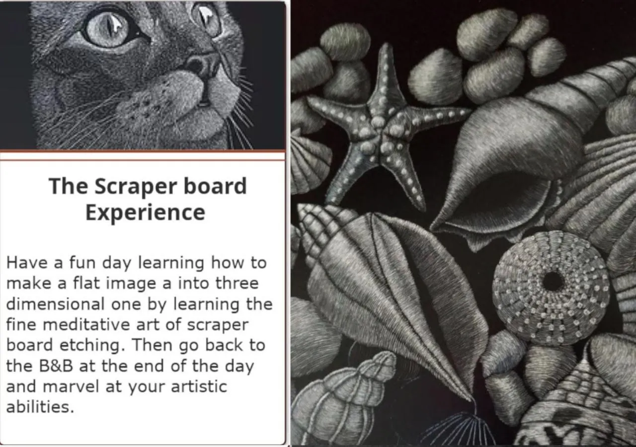 Activities in Gumnut Getaway BnB