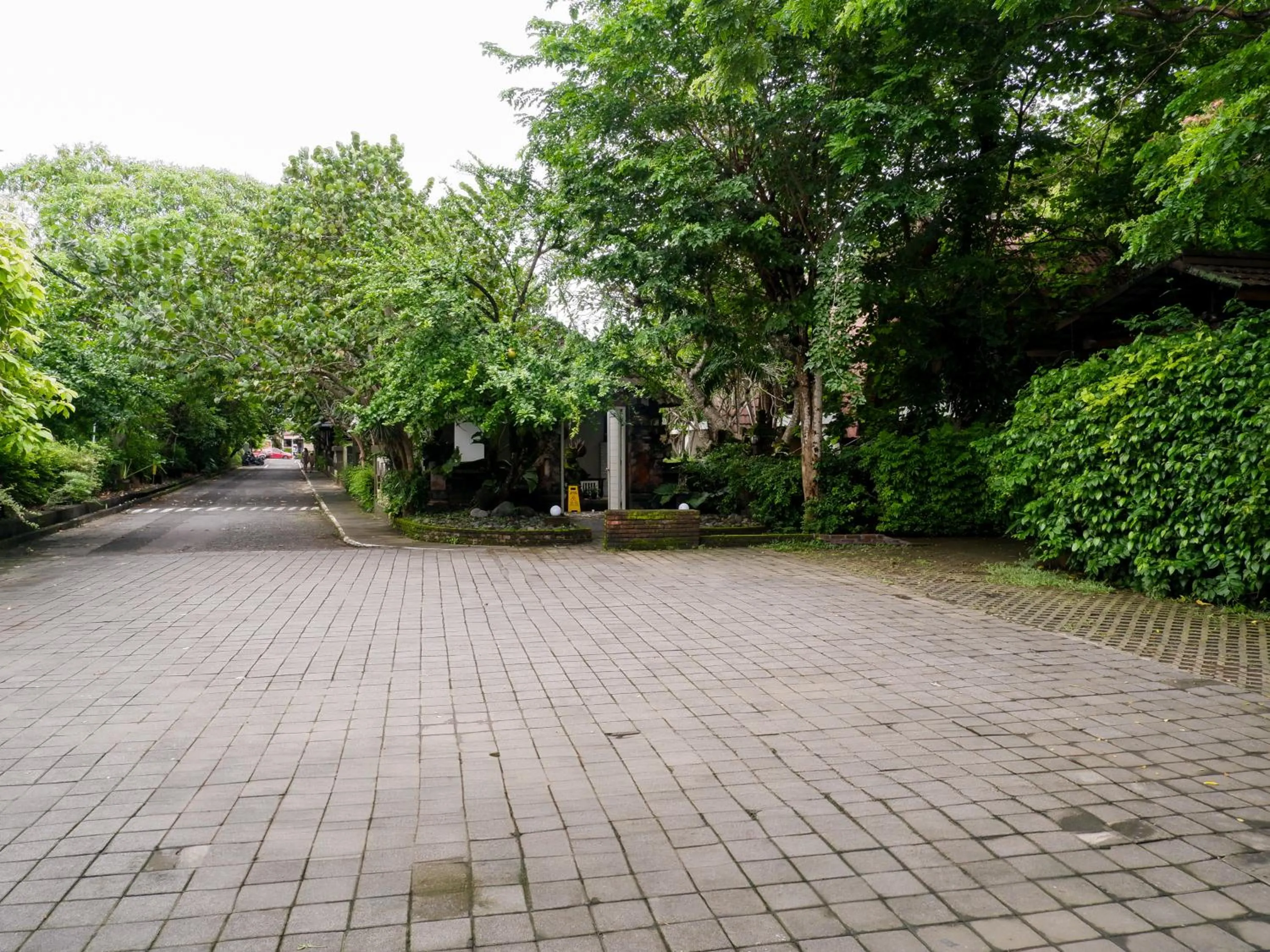 Natural landscape in Peneeda View Beach Hotel