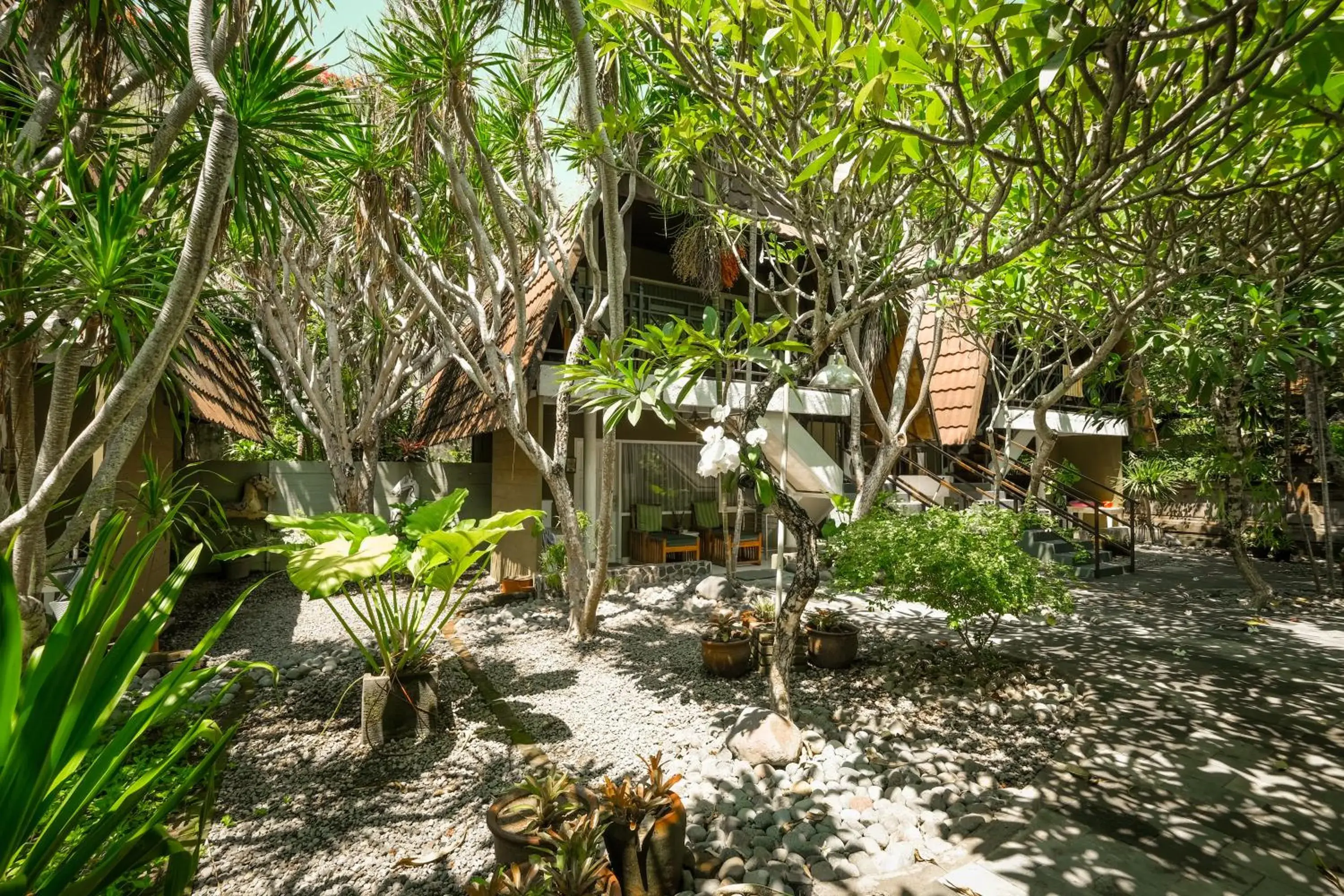 Garden in Peneeda View Beach Hotel Garden in Peneeda View Beach Hotel