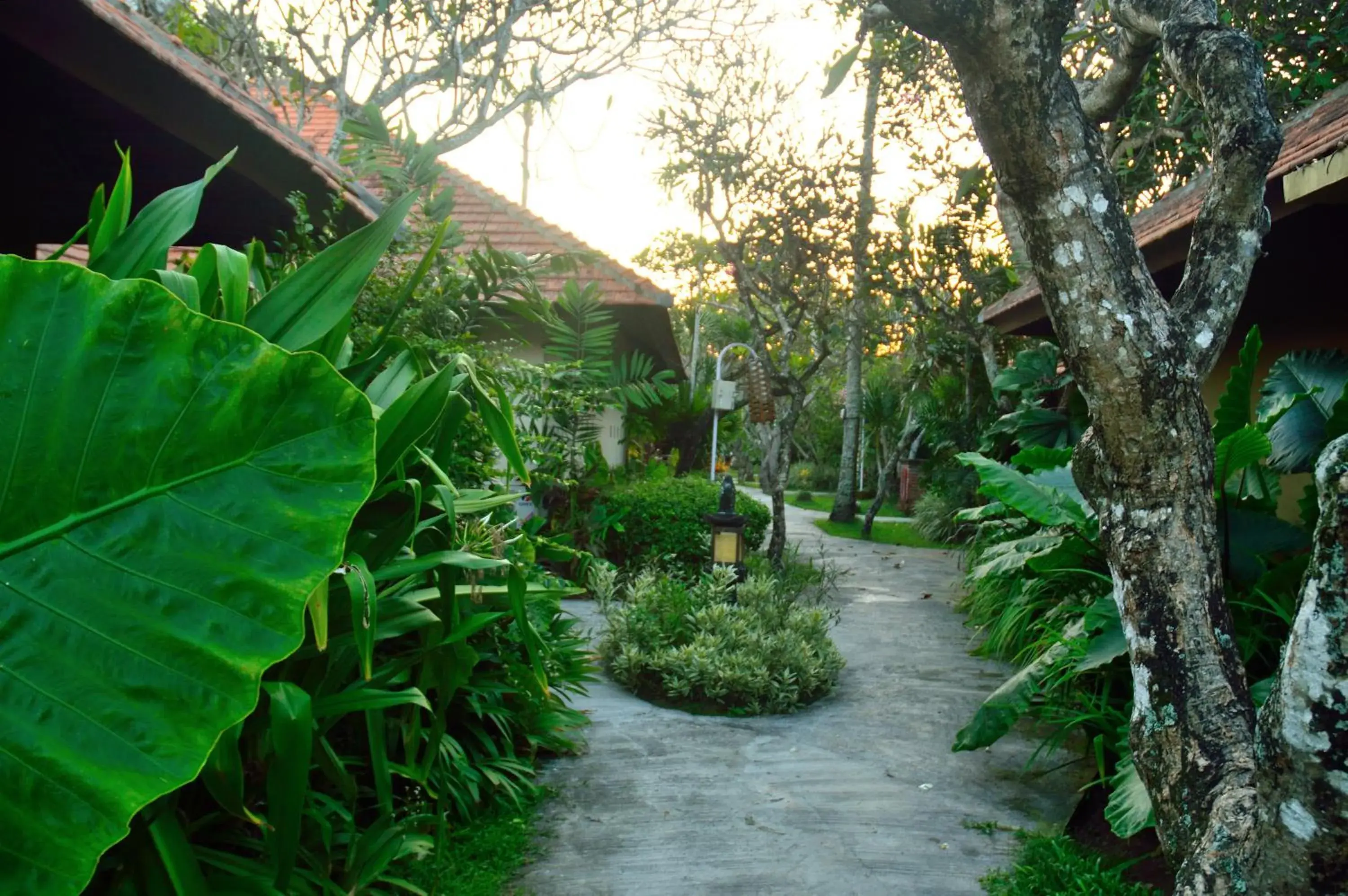 Decorative detail in Peneeda View Beach Hotel Decorative detail in Peneeda View Beach Hotel