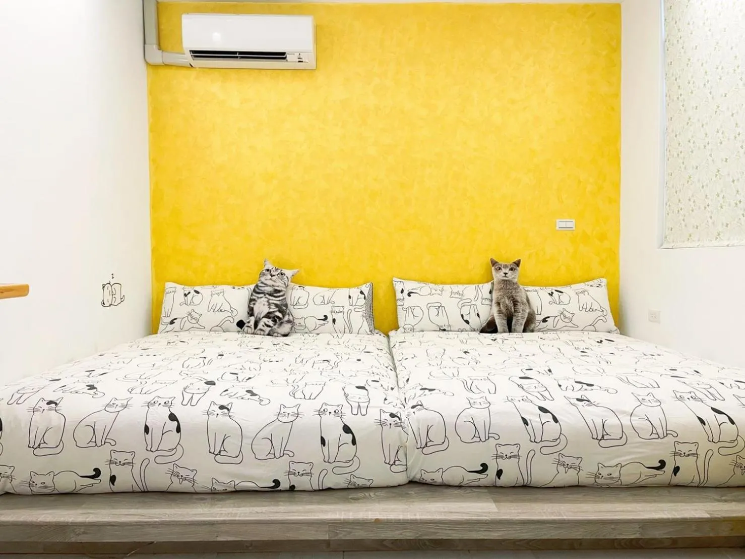 Bed in Living House