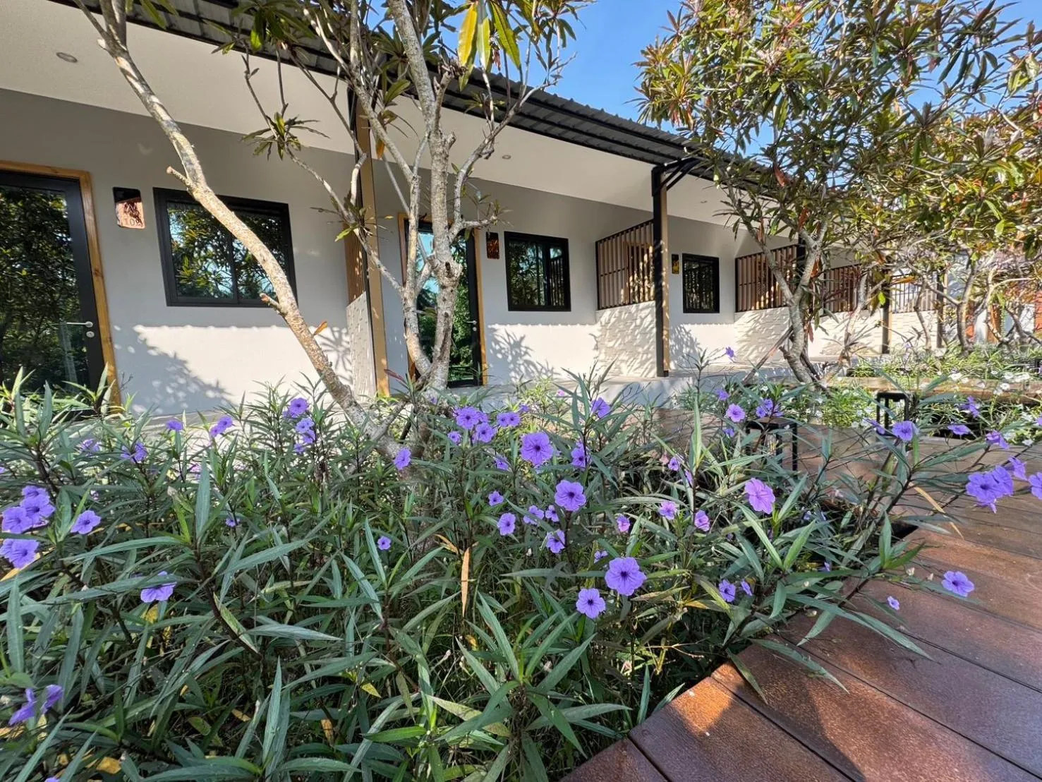 Property building in Tusita Wellness Resort