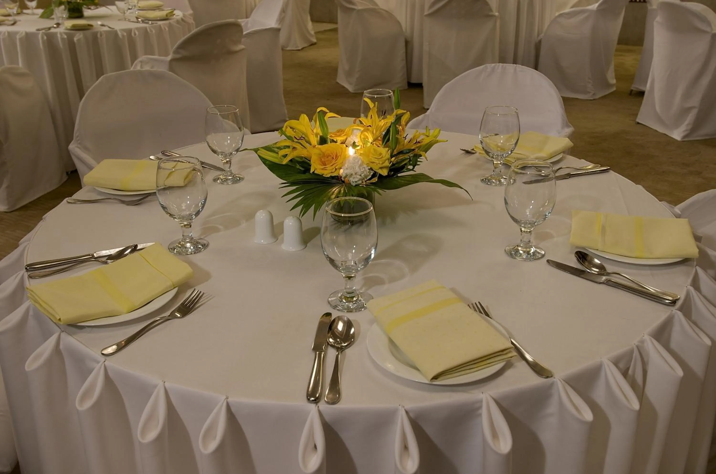 Banquet/Function facilities in The Regenza By Tunga