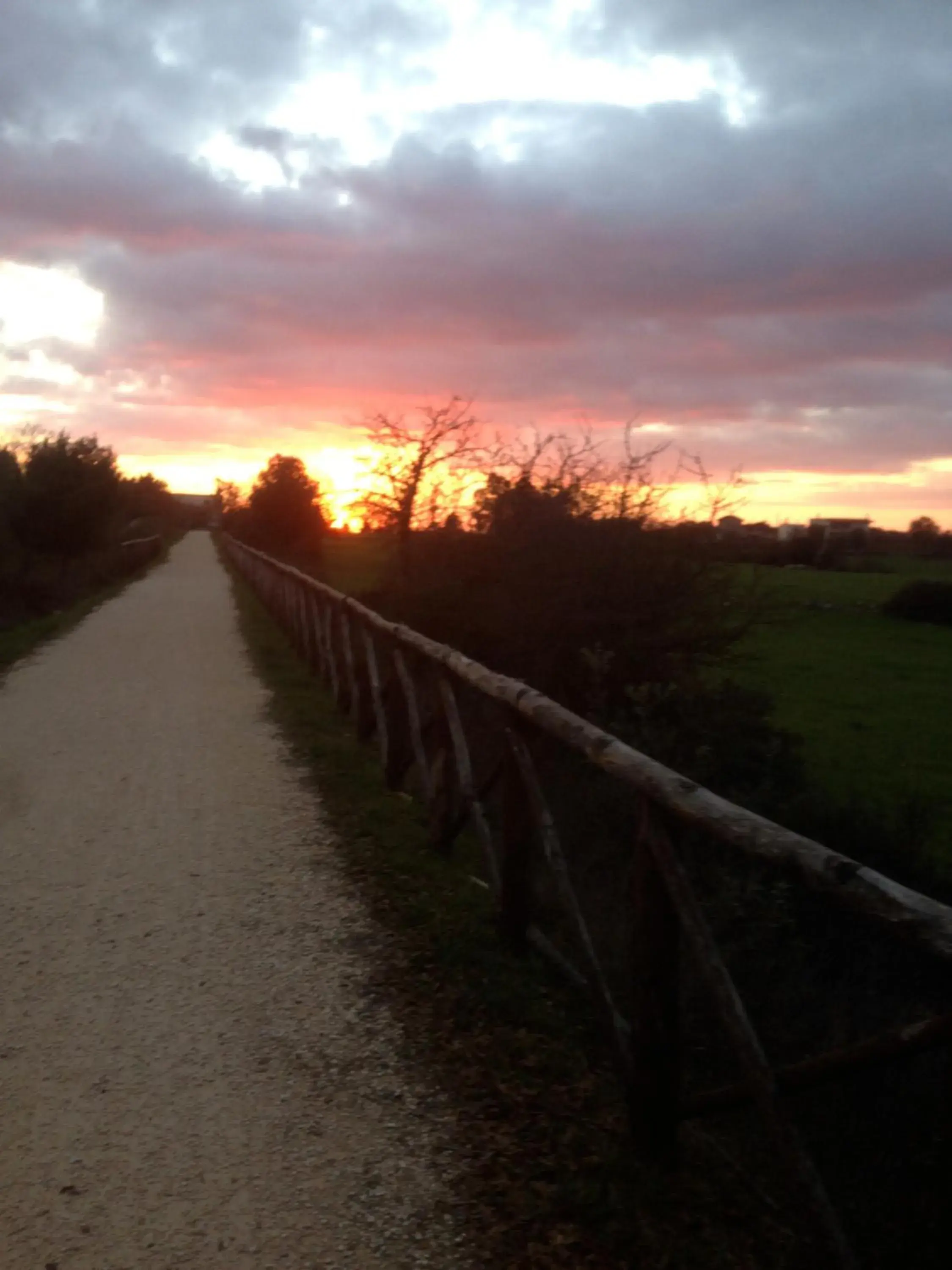 King Room with Garden View in Borgo trulli 1789 King Room with Garden View in Borgo trulli 1789