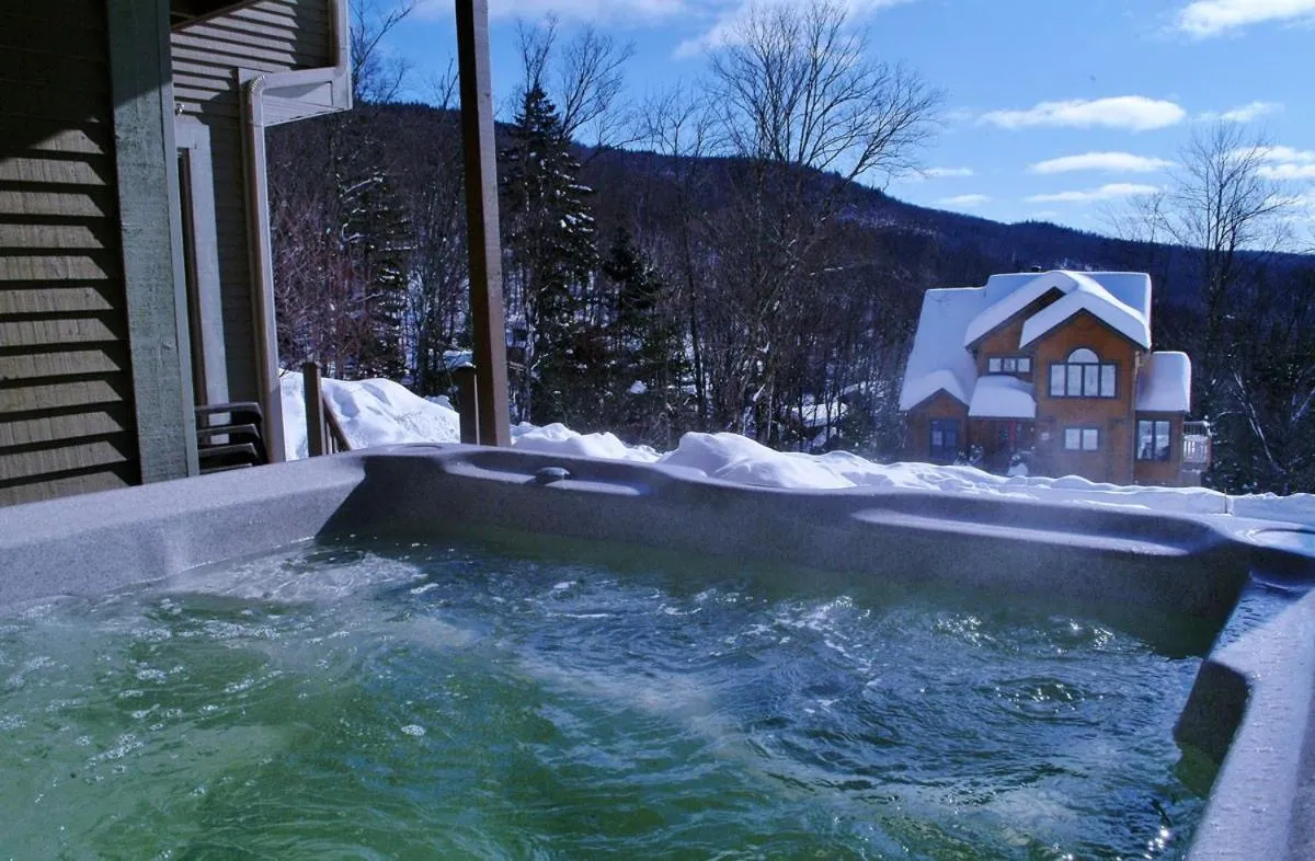 Winter in Chalets Alpins - 54 Chemin des Skieurs