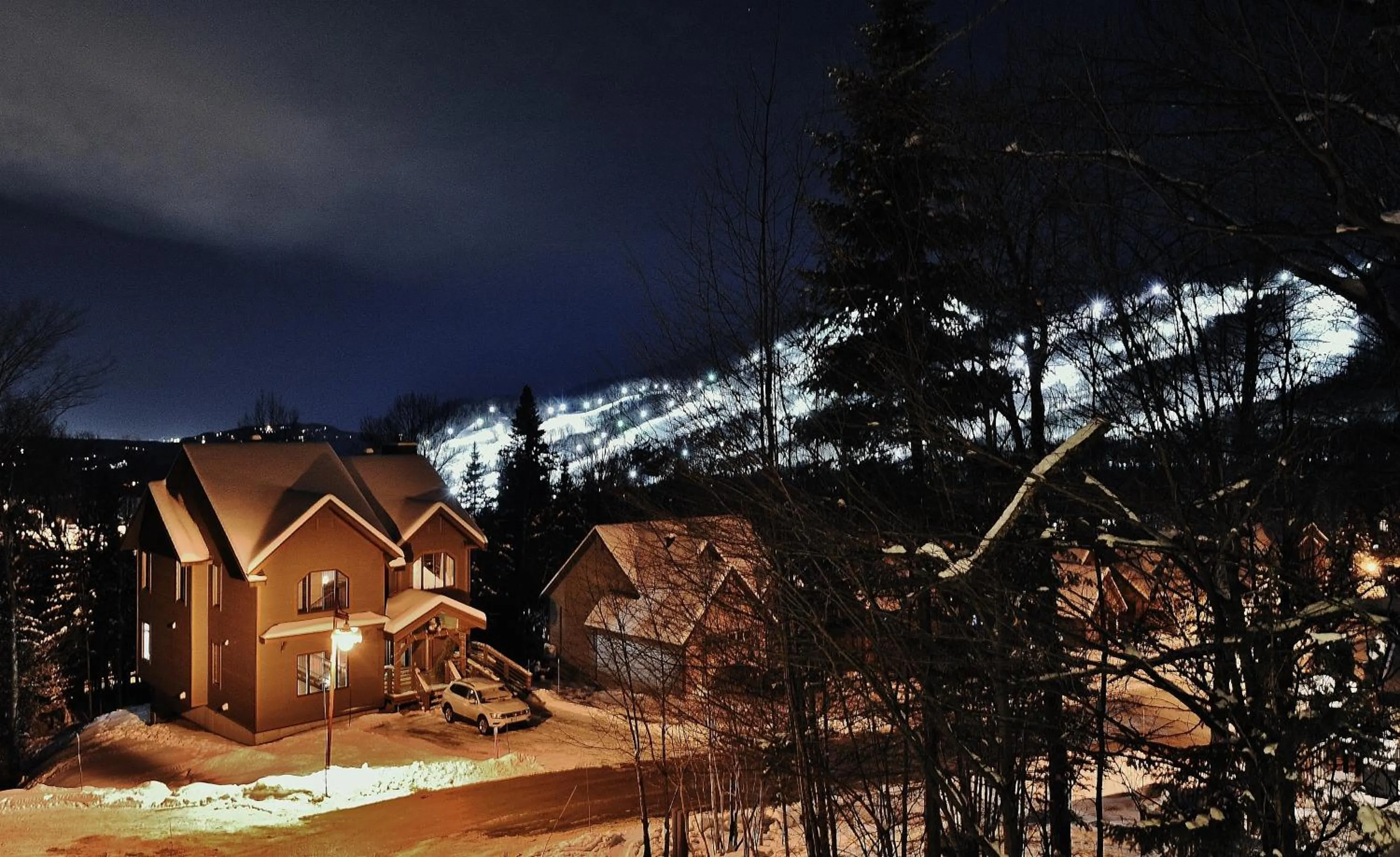 Chalets Alpins - 54 Chemin des Skieurs